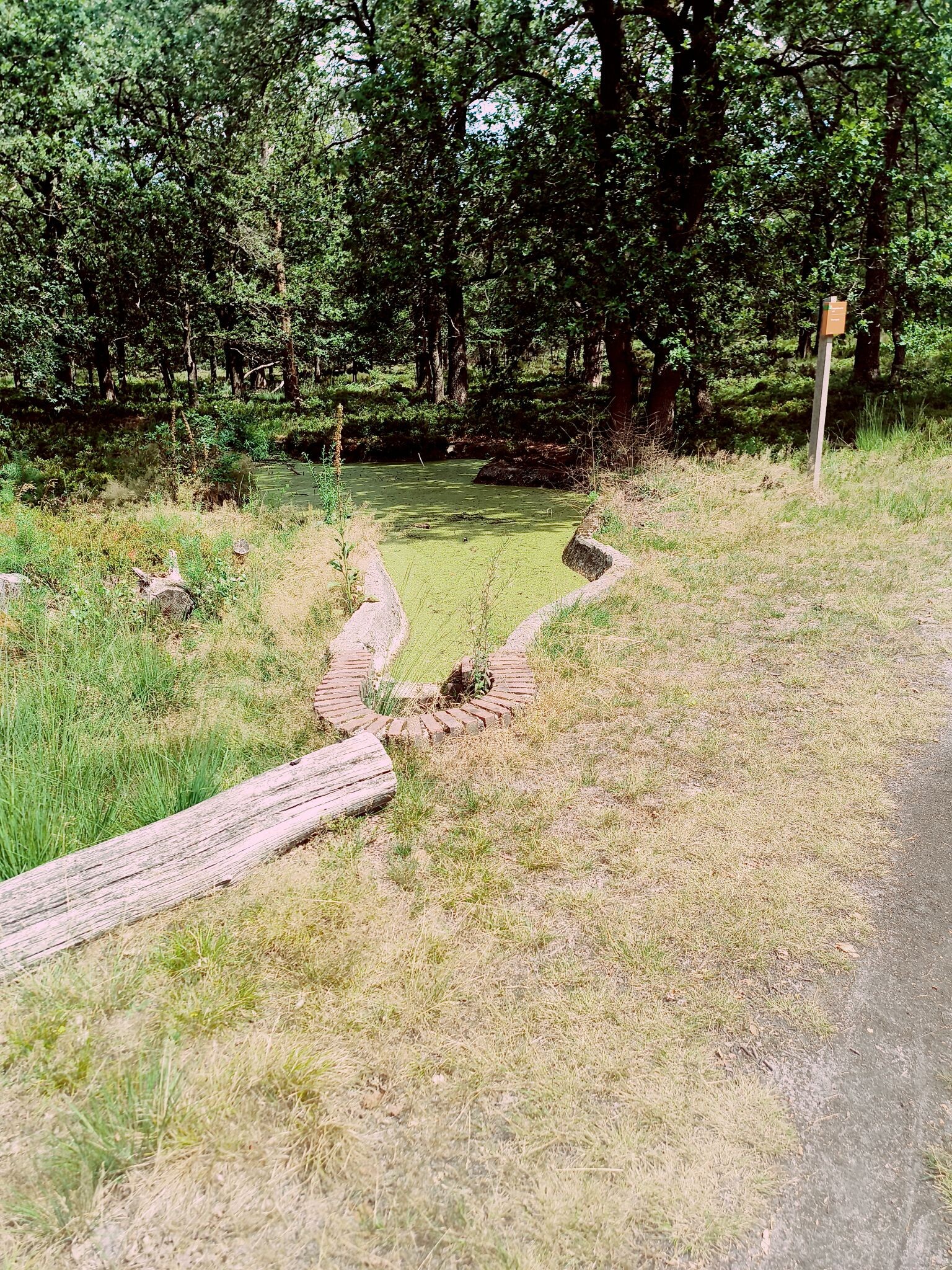Wandelroute Noorderheide