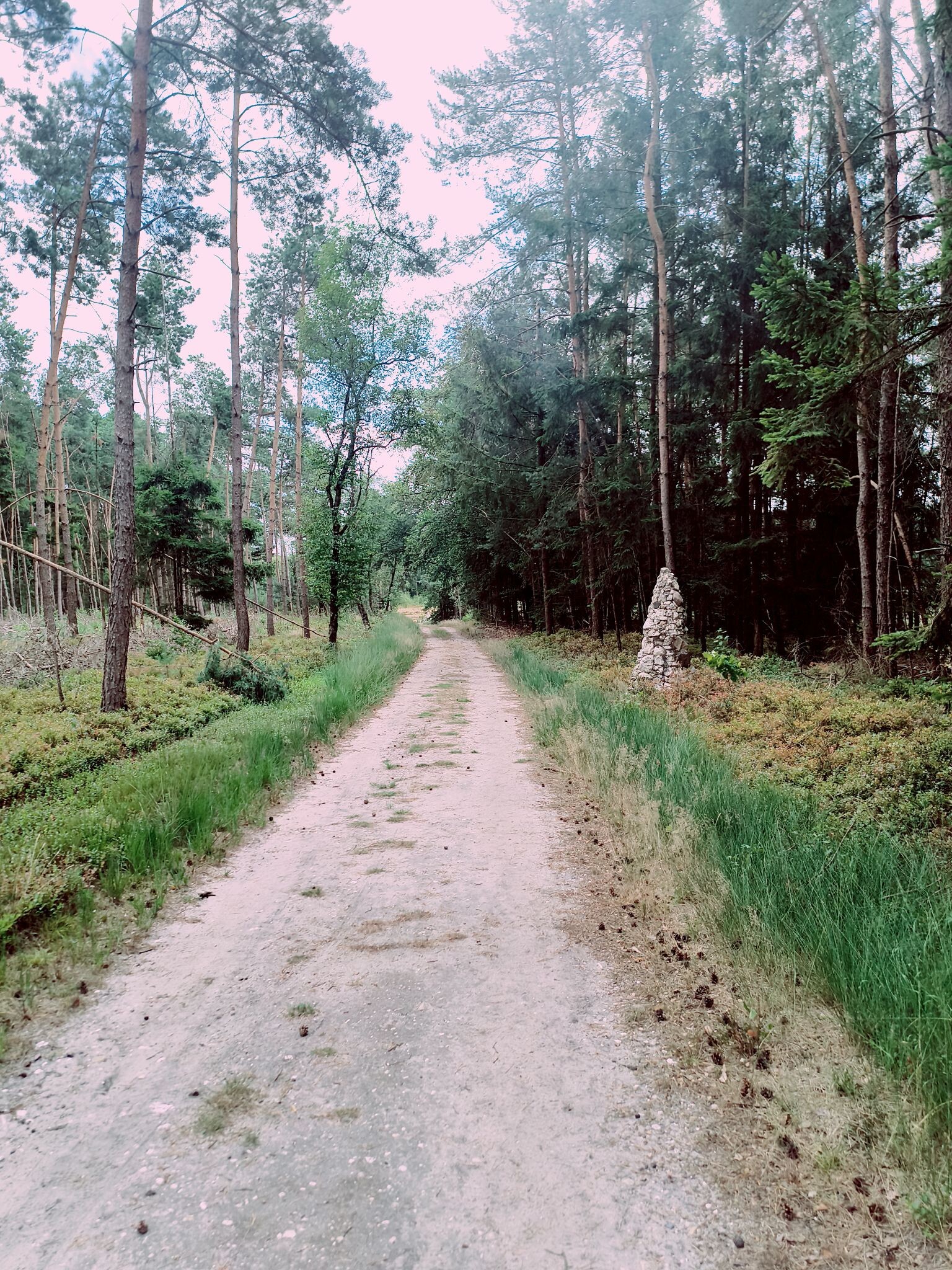 Wandelroute Noorderheide
