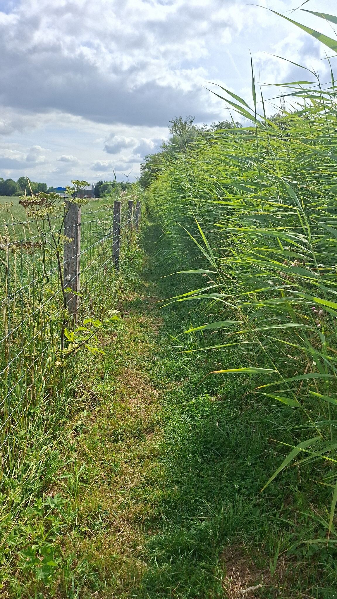Odijk Cothen · Utrechtpad etappe 2