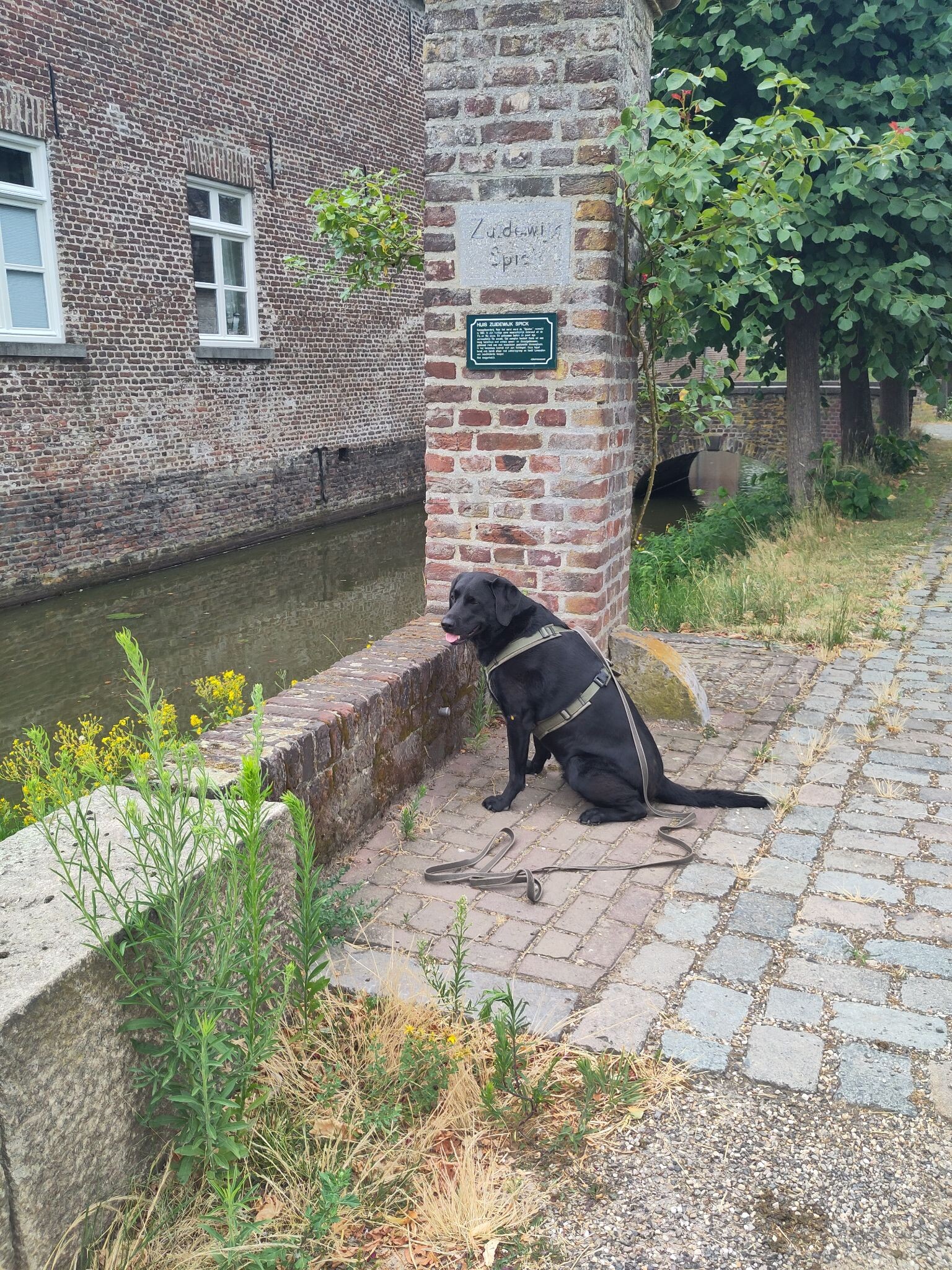 Swalmen - Montfort · Pieterpad etappe 23