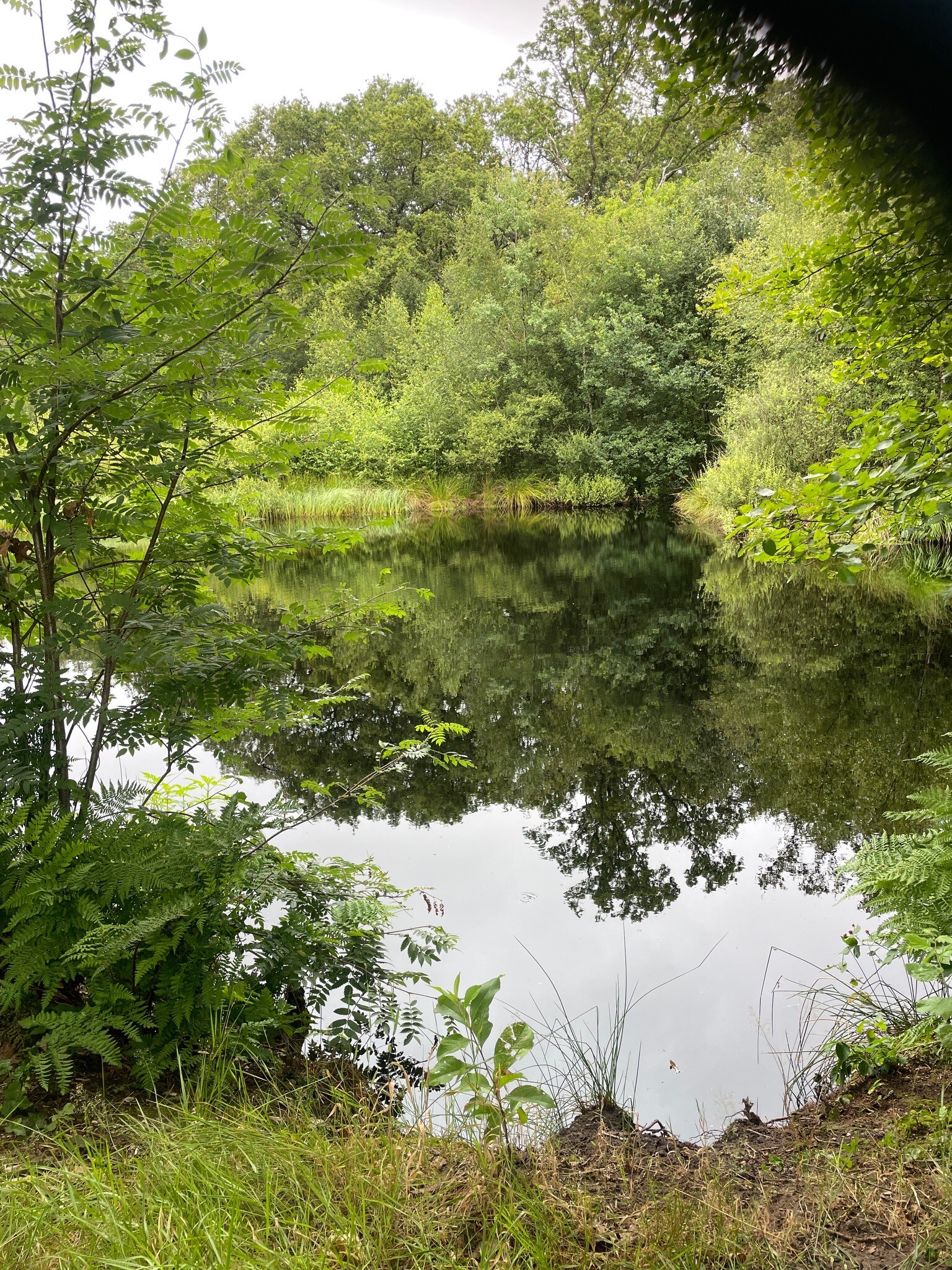 Boswachterspad Ter Wupping
