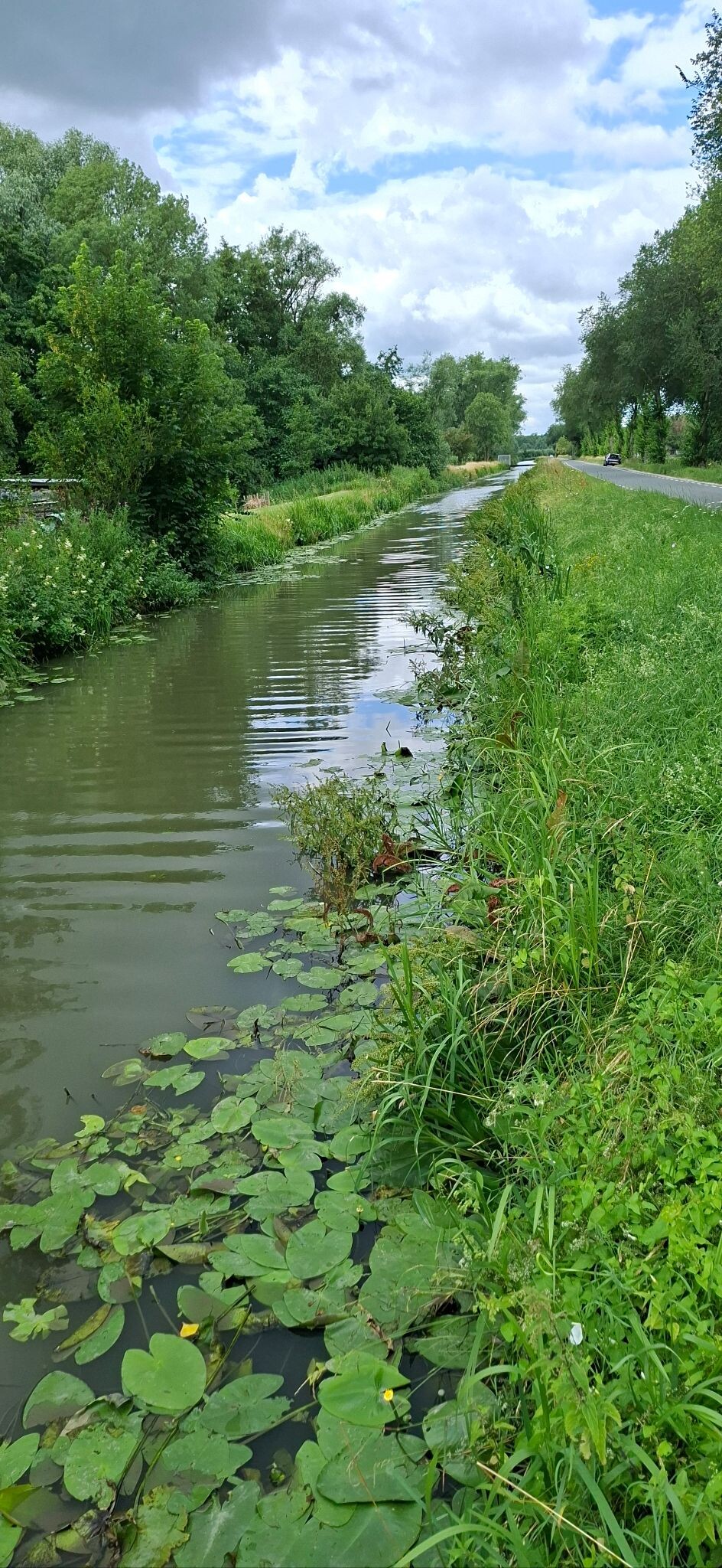Culemborg