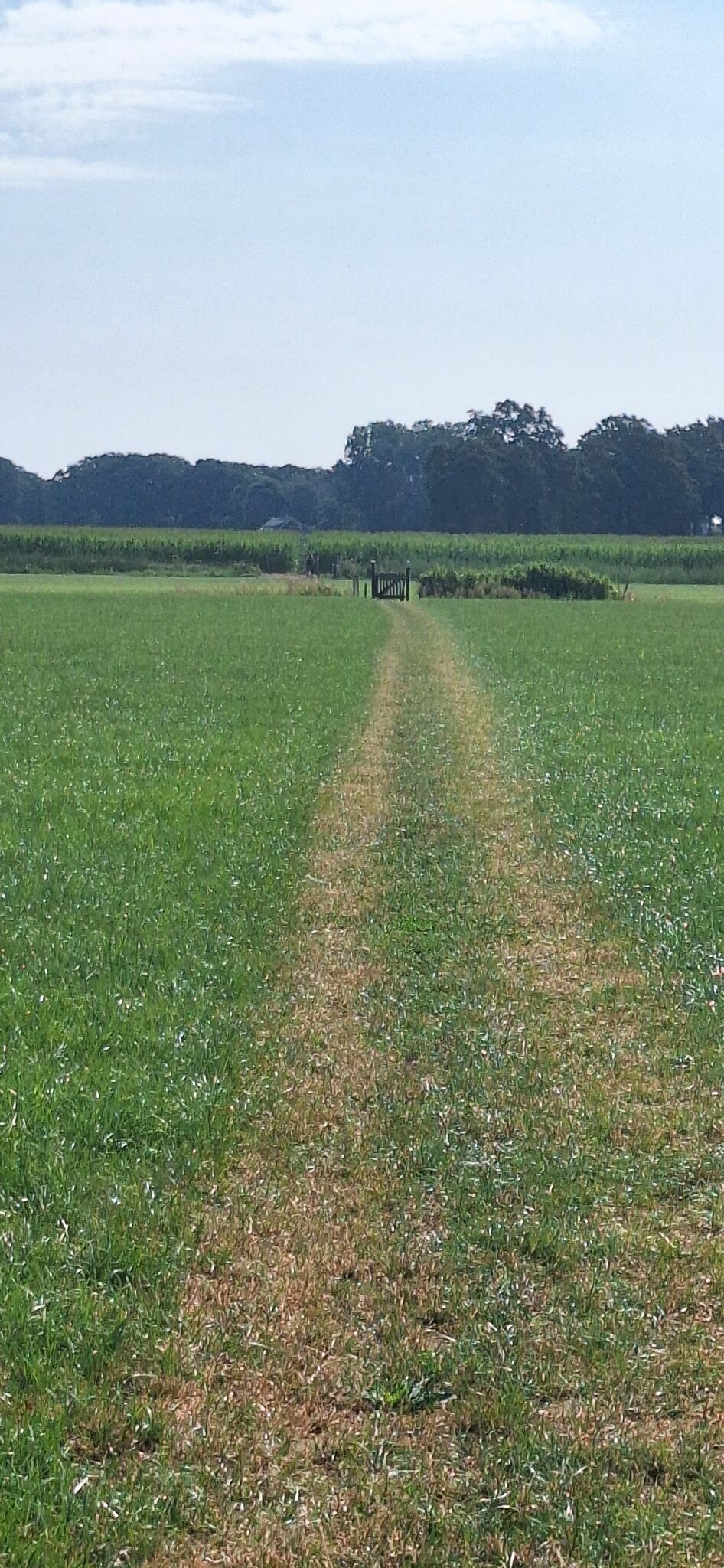 Watermolenpad Minderhout