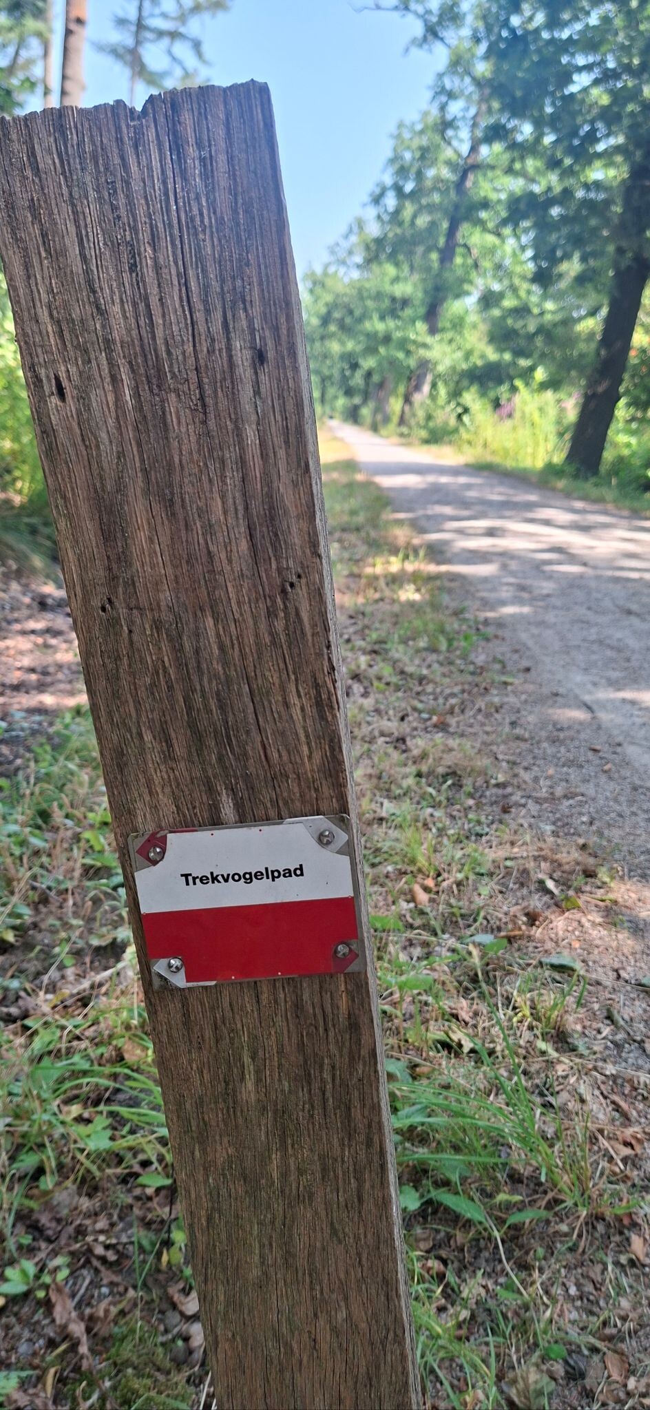 Woudenberg