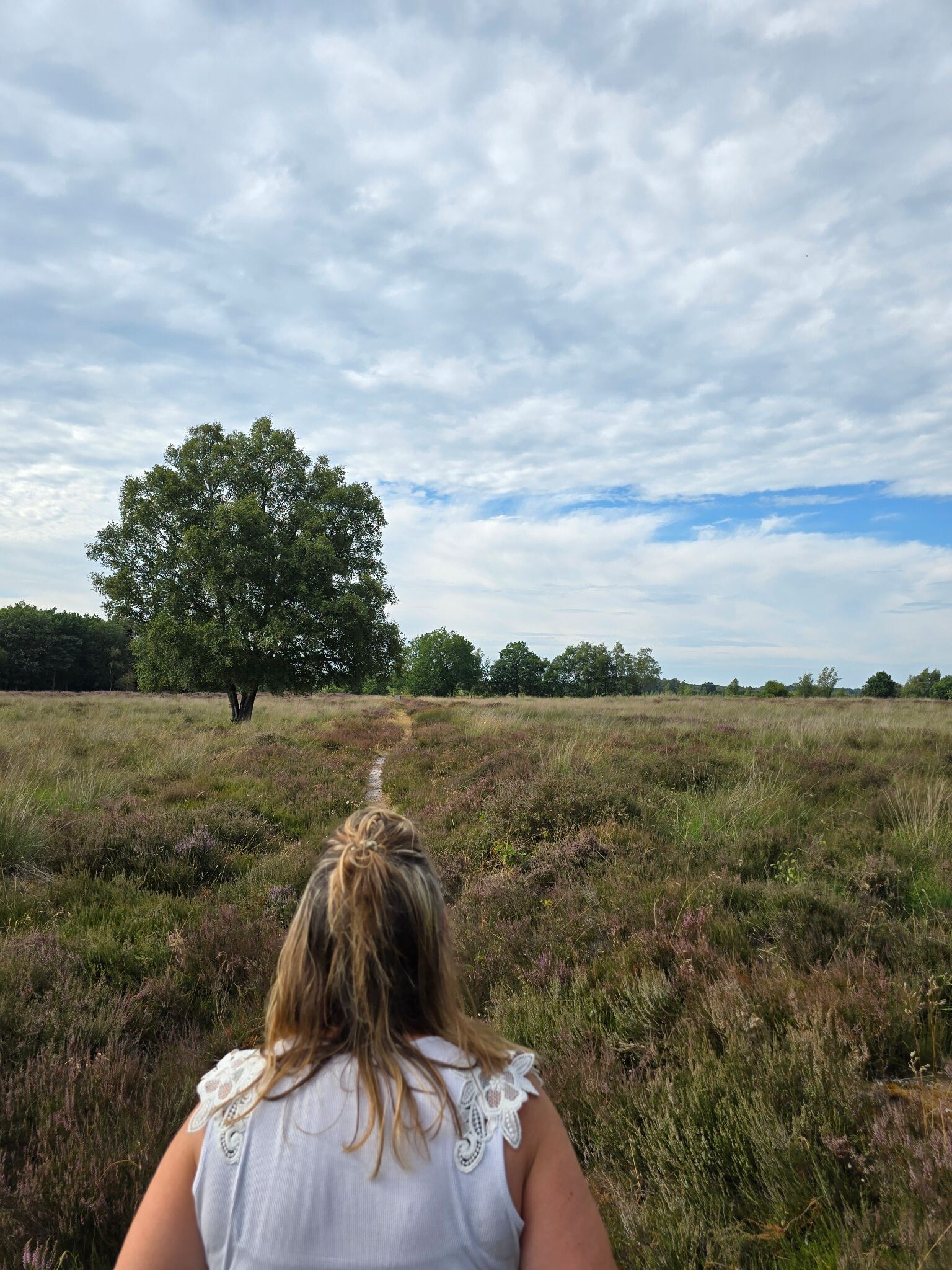 Midden-Drenthe Wandelen