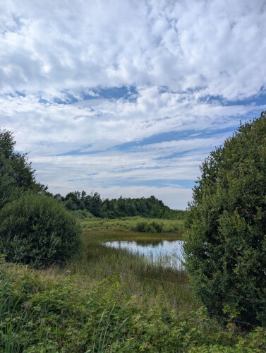 Rondje Mantingerveld Midden-drenthe