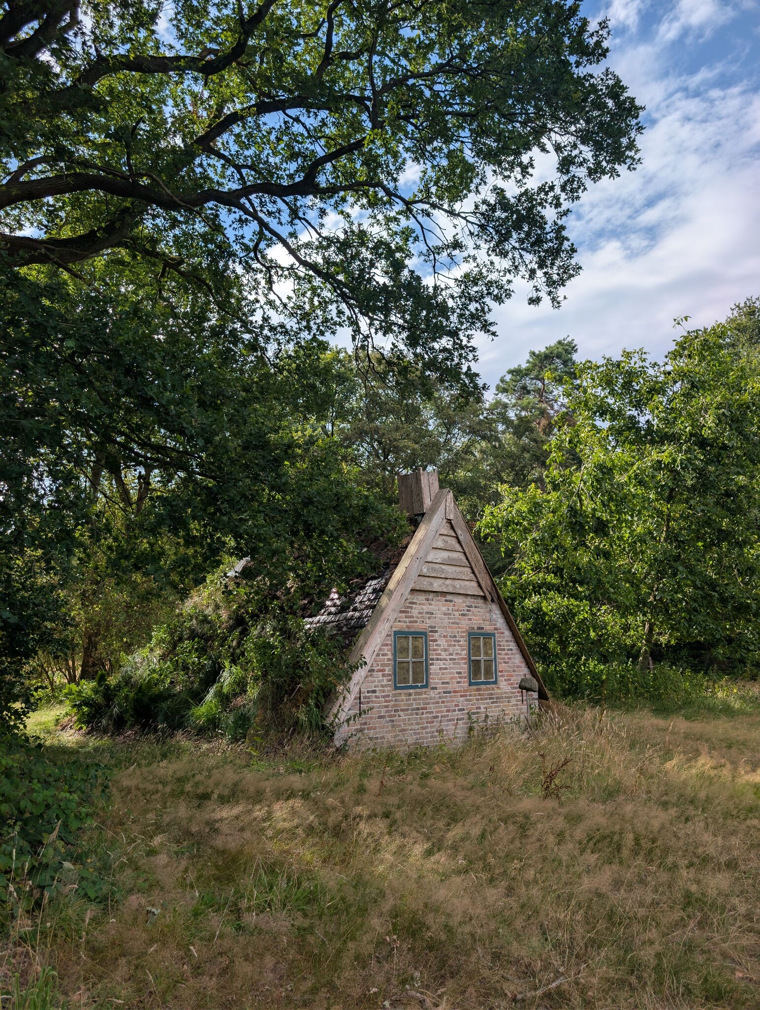 Rondje Mantingerveld Midden-drenthe