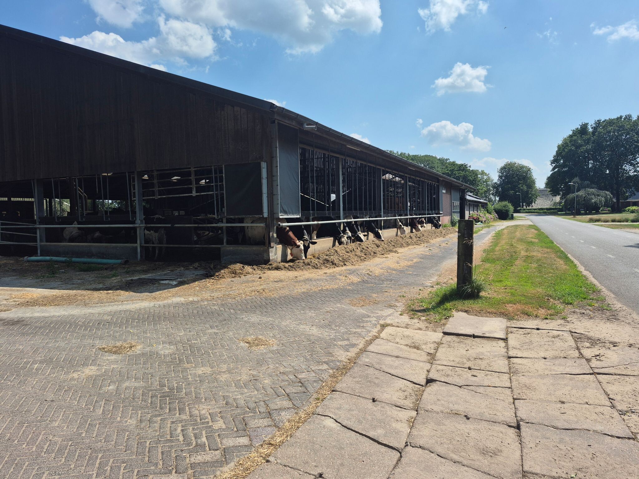 Pieterpad