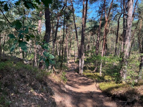 Loenen - Dieren · Veluwe Zwerfpad etappe 16