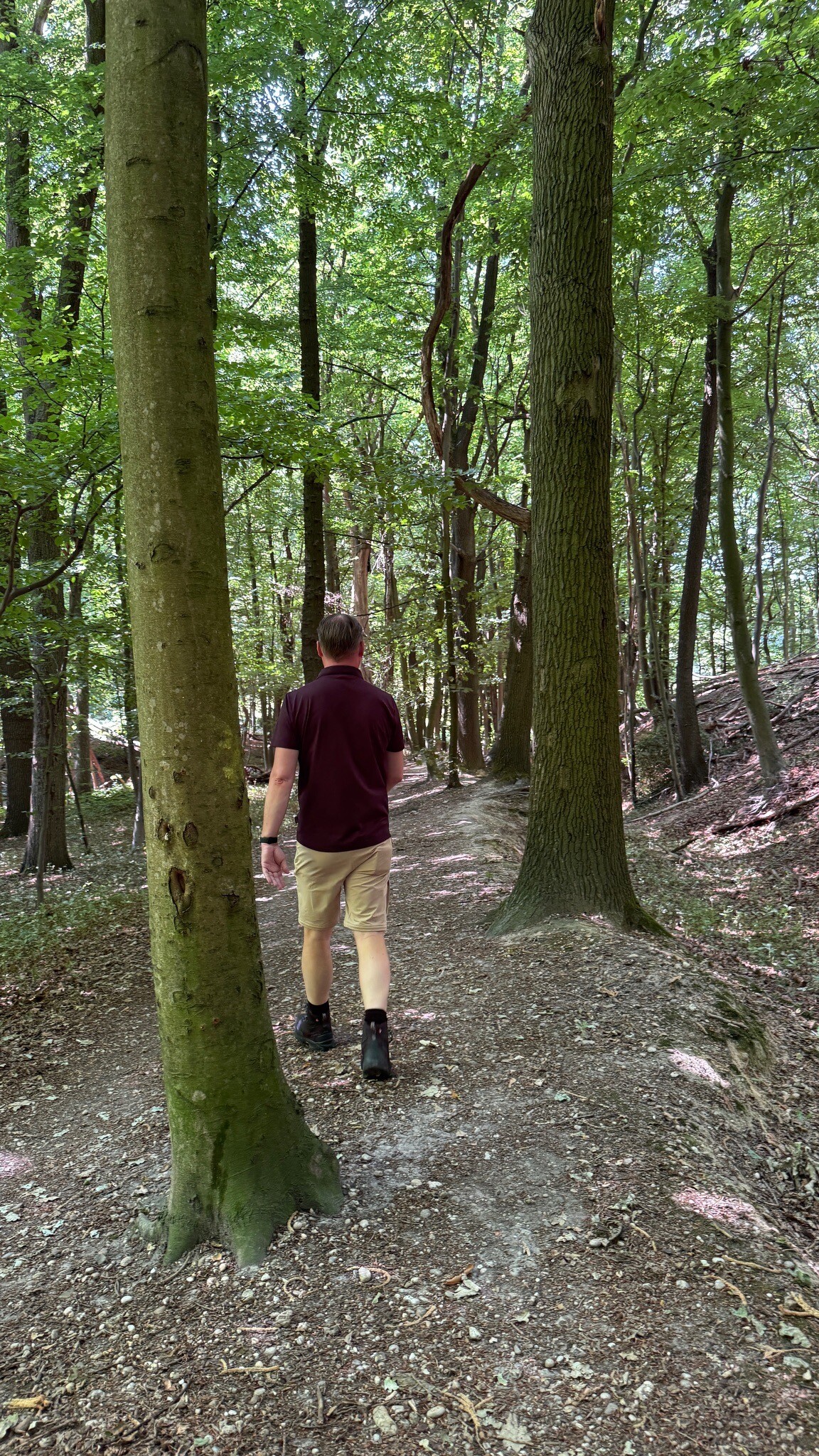 Wandelroute Imstenraderbos, bij Heerlen (geel)