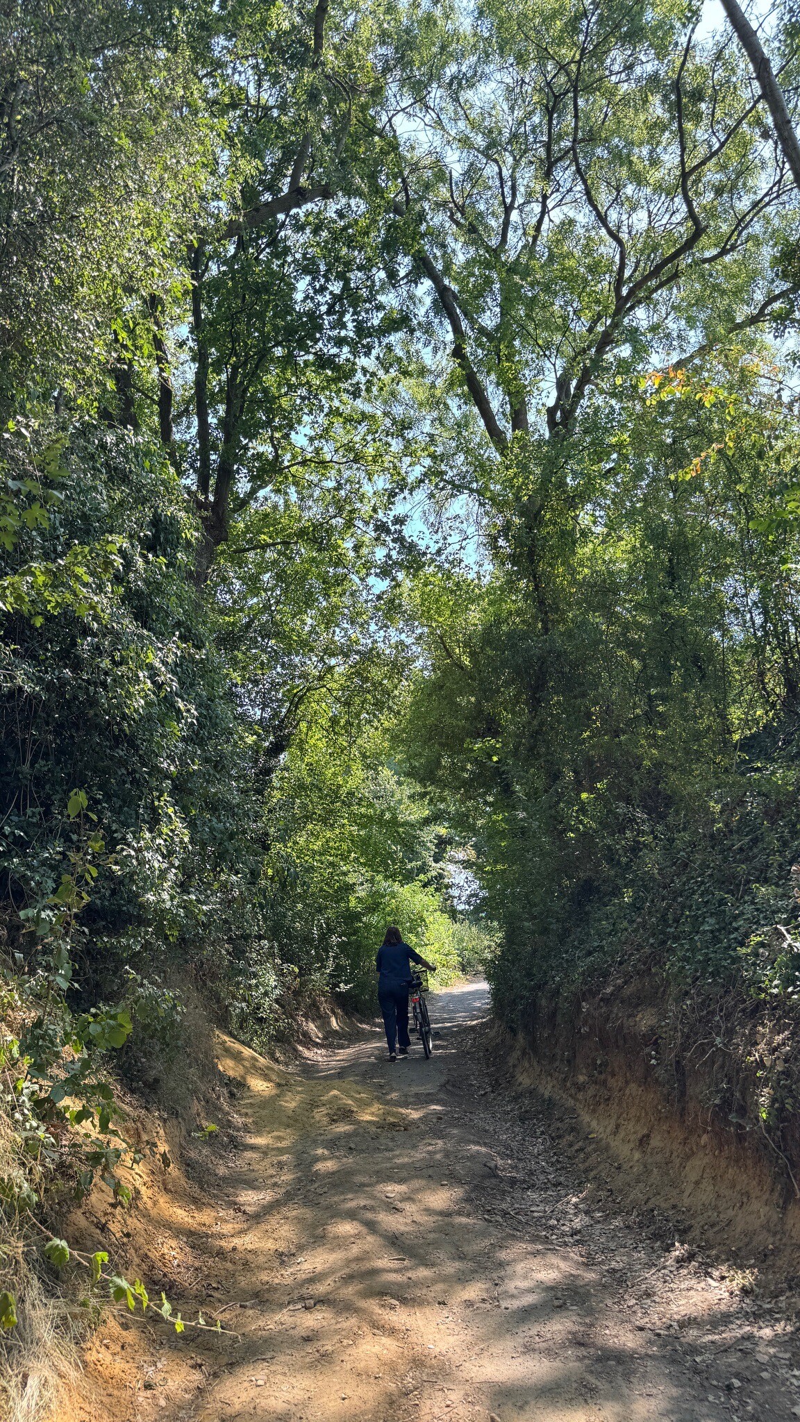 Imstenraderbos Heerlen