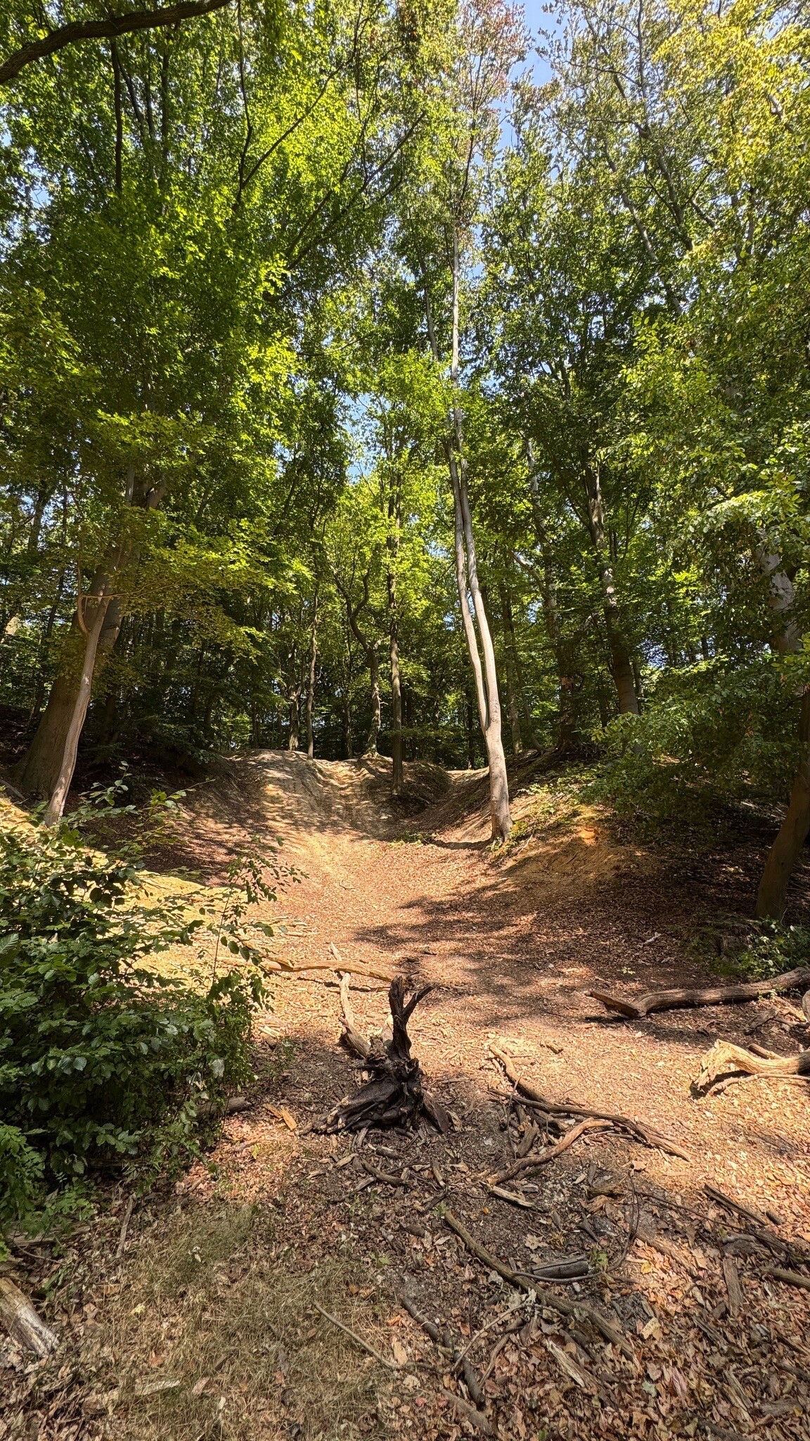 Imstenraderbos Heerlen