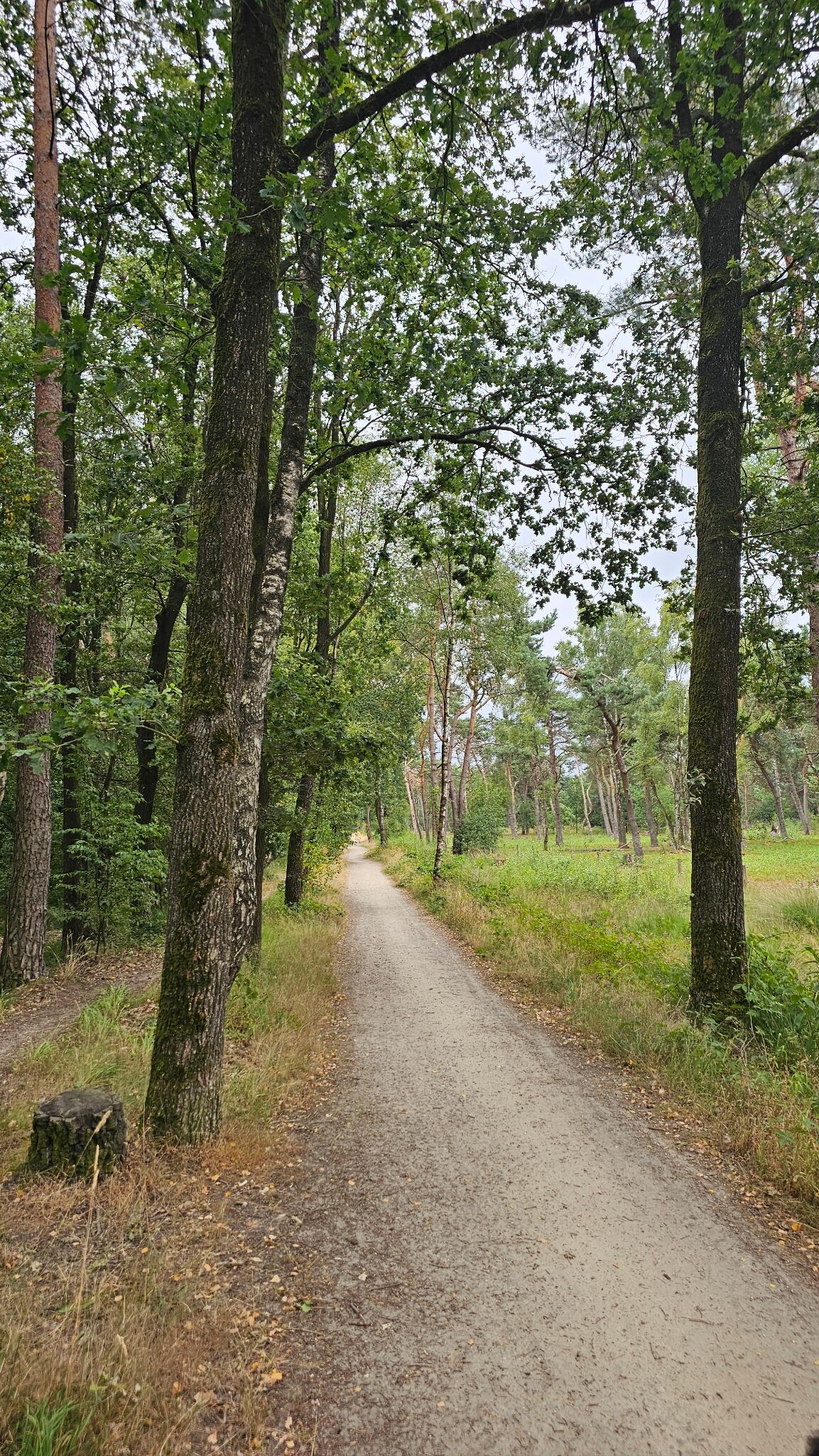 Ootmarsum naar Denekamp - "Rinkeldedinkel" · NederRandpad etappe 10