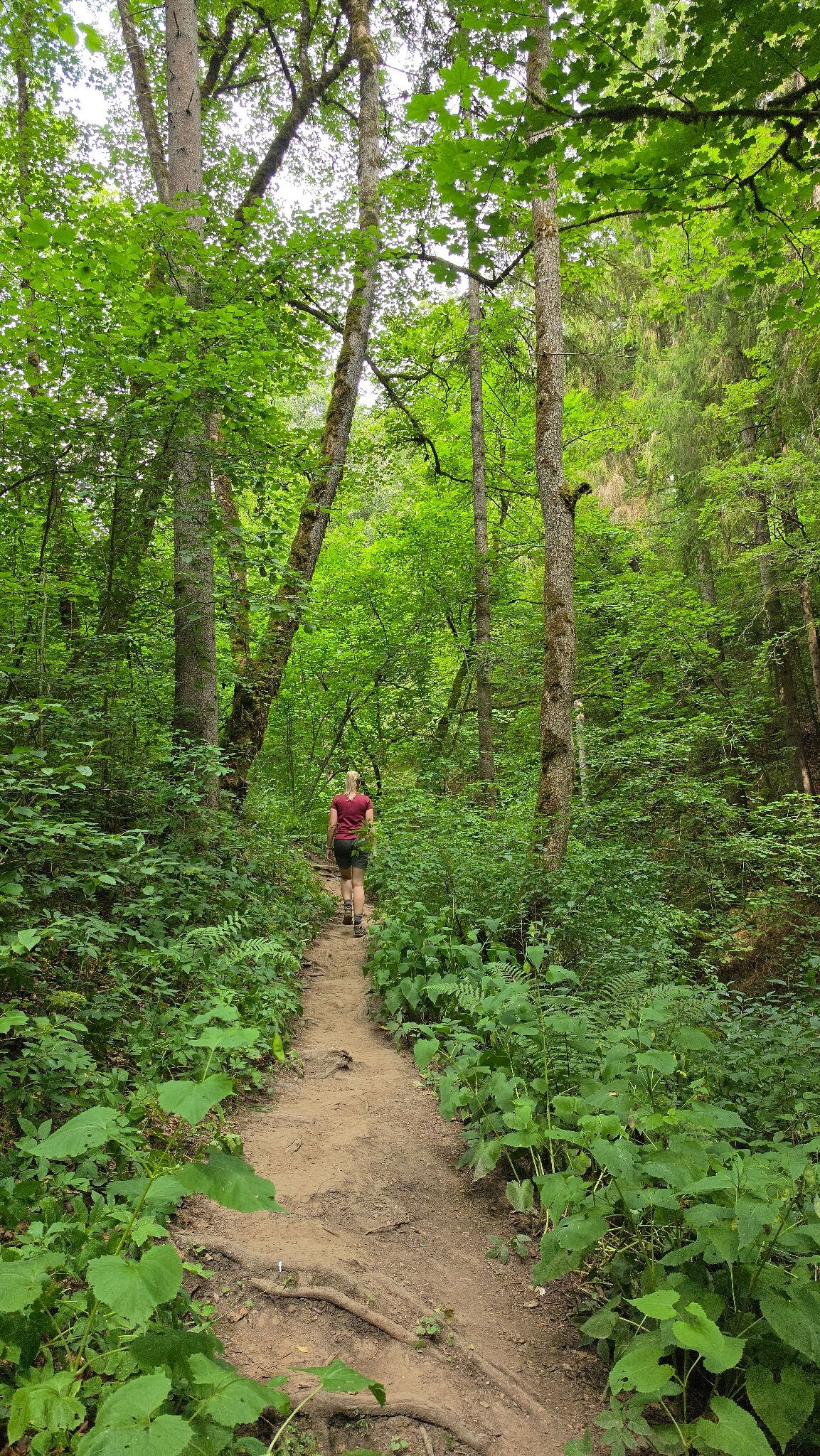 WandelWeb route-  3 Schluchten-tour (verkort)
