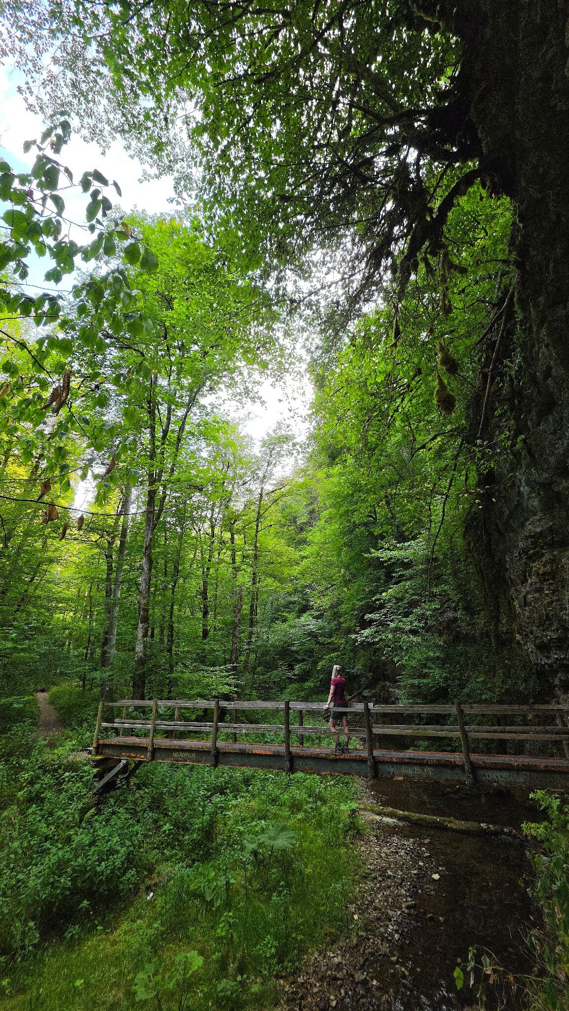WandelWeb route-  3 Schluchten-tour (verkort)