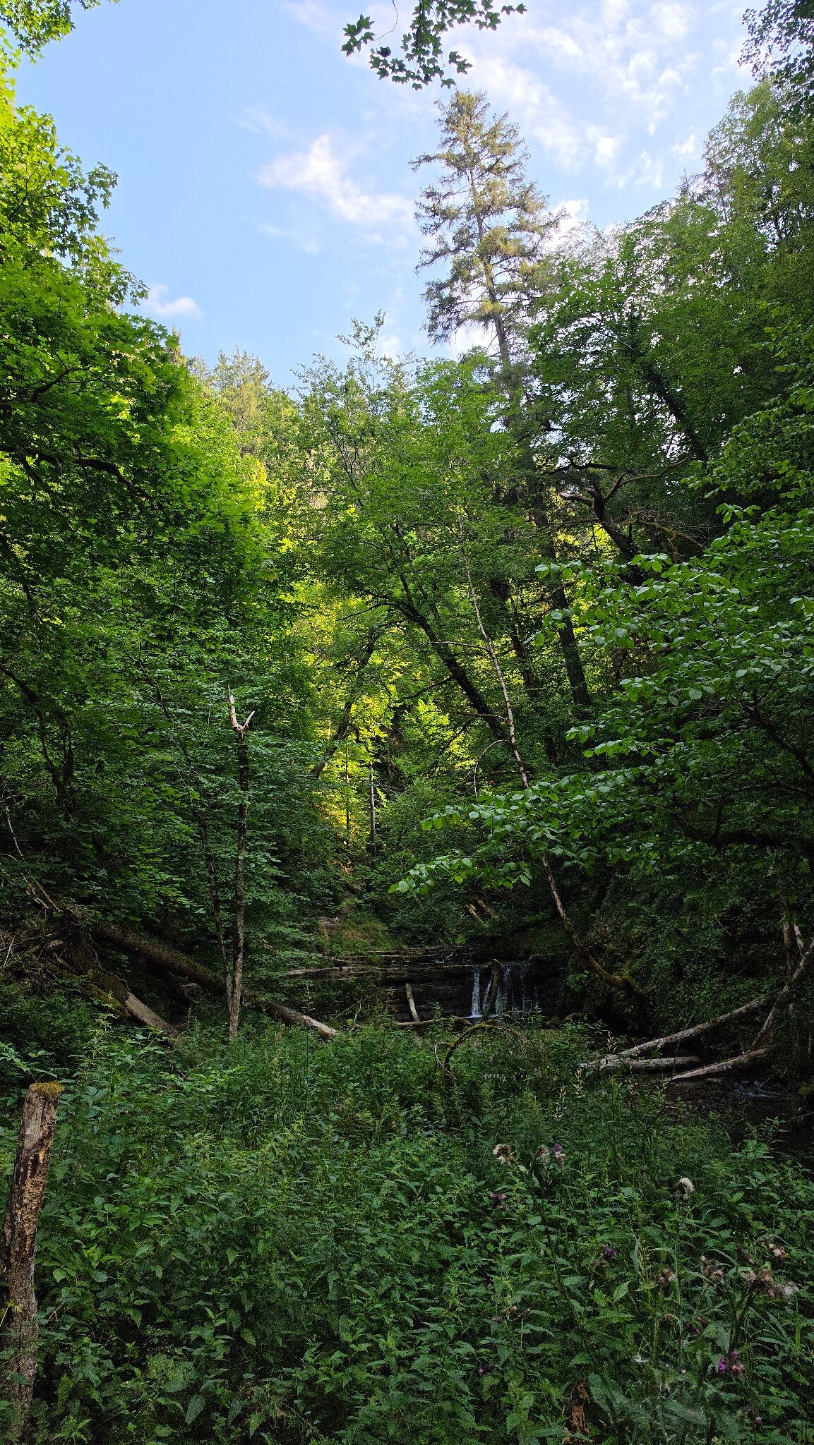 WandelWeb route - 3 Schluchten-tour (verkort)