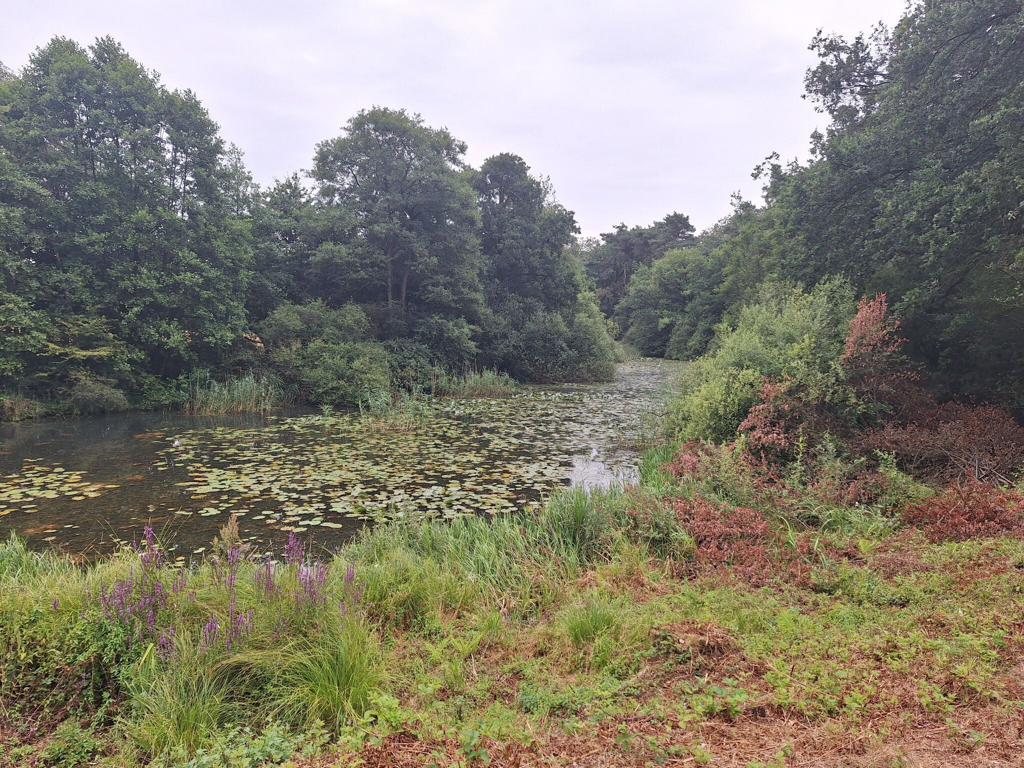 Ommen - Mariënberg · Vechtdalpad etappe 3