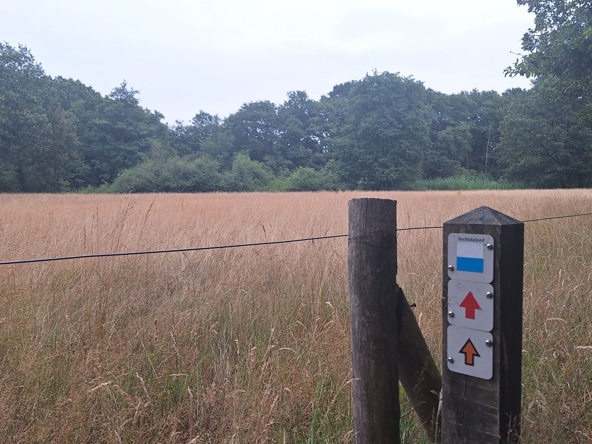 Ommen - Mariënberg · Vechtdalpad etappe 3