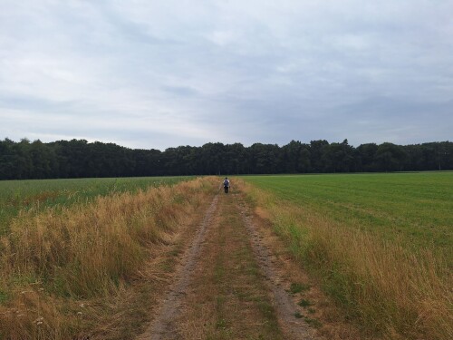 Ommen - Mariënberg · Vechtdalpad etappe 3