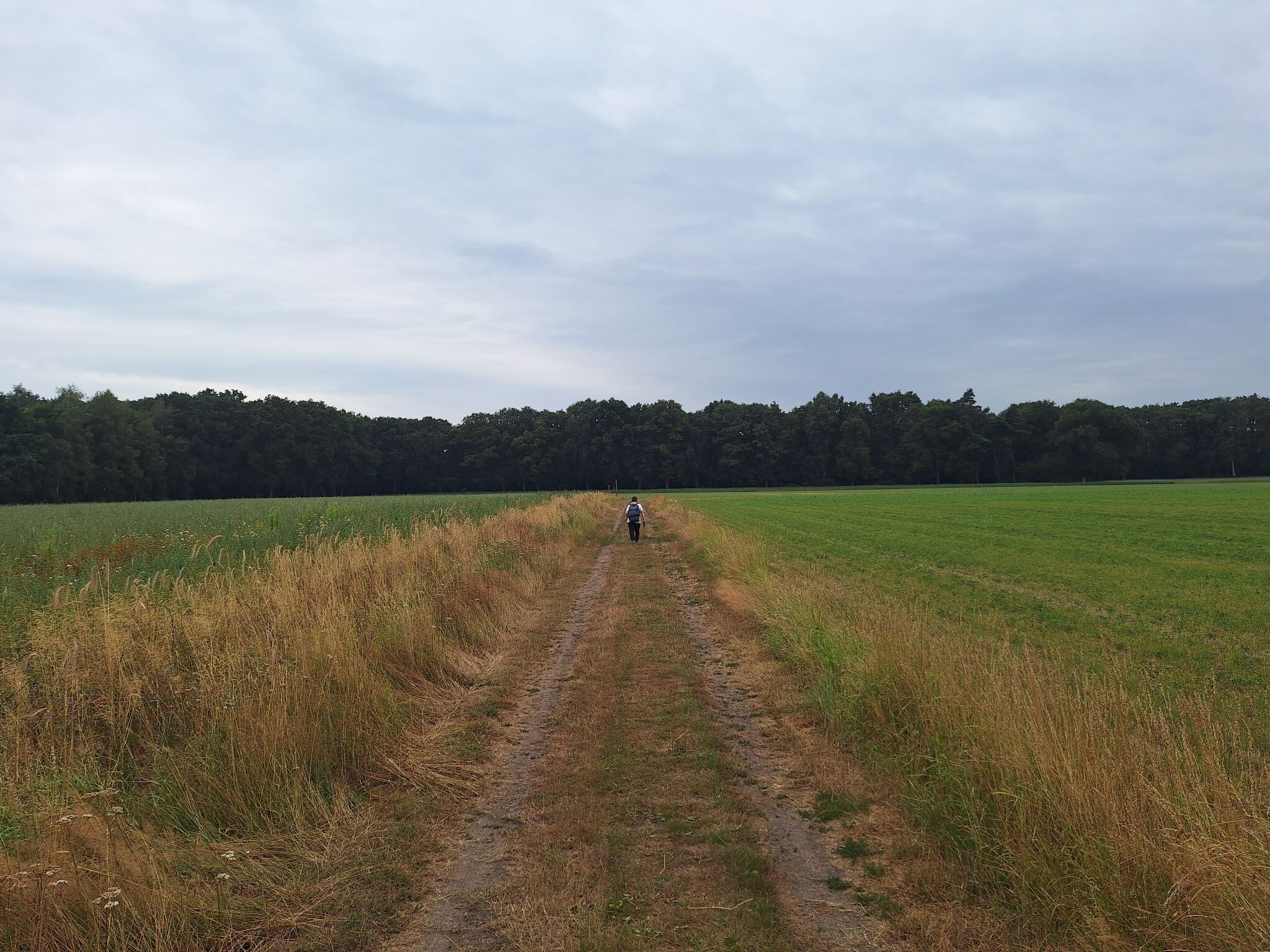 Ommen - Mariënberg · Vechtdalpad etappe 3
