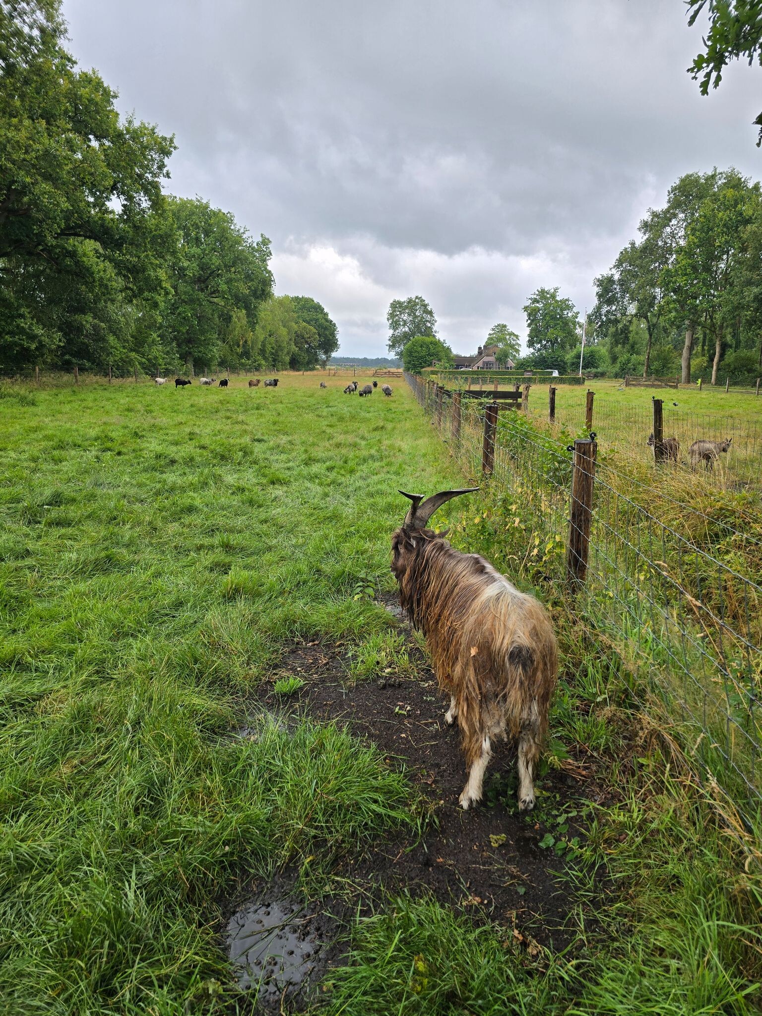 Rondje Havelte en omgeving