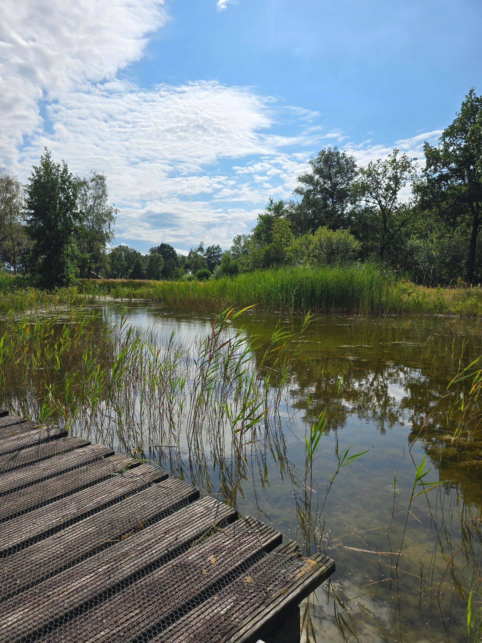 Rondje Havelte en omgeving