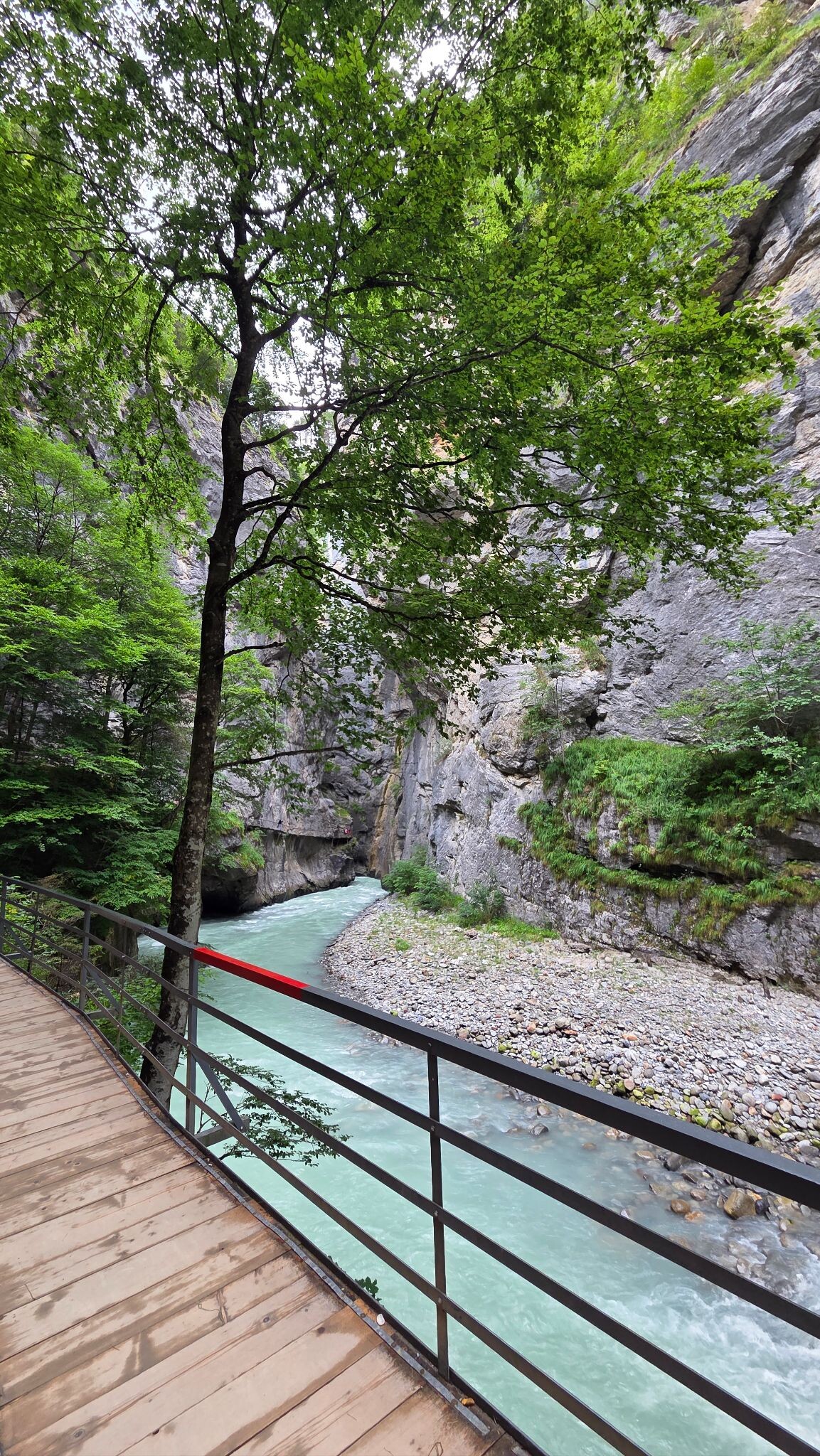 Aareschlucht