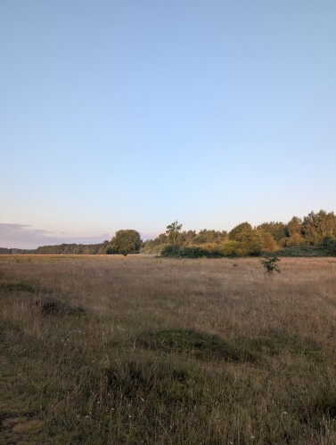 Mantingerveld - Rood
