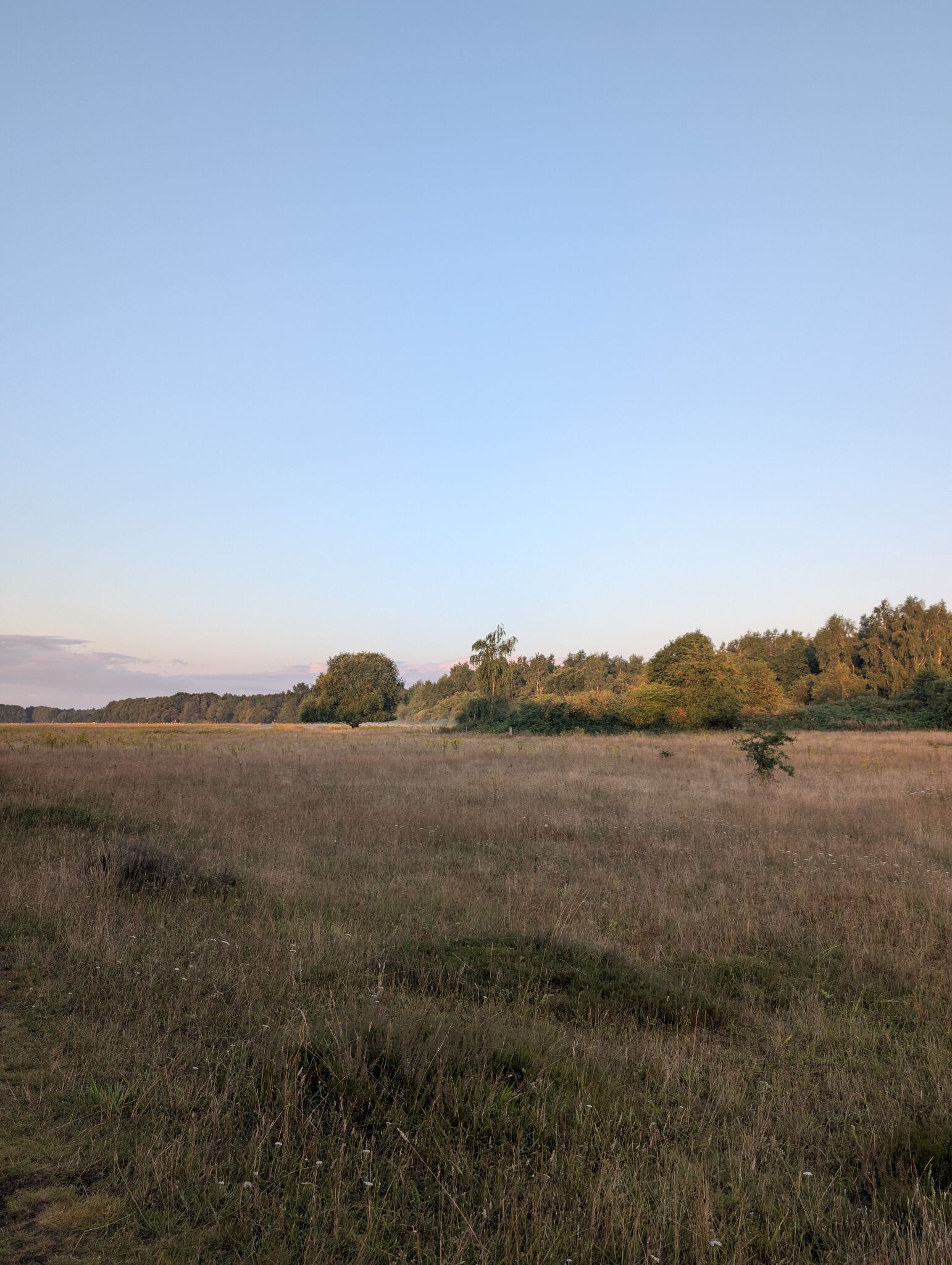 Mantingerzand