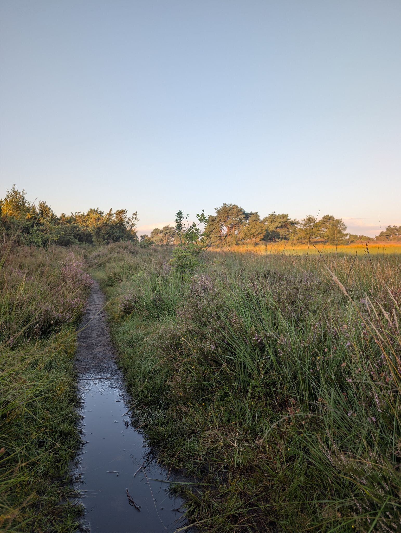Mantingerzand
