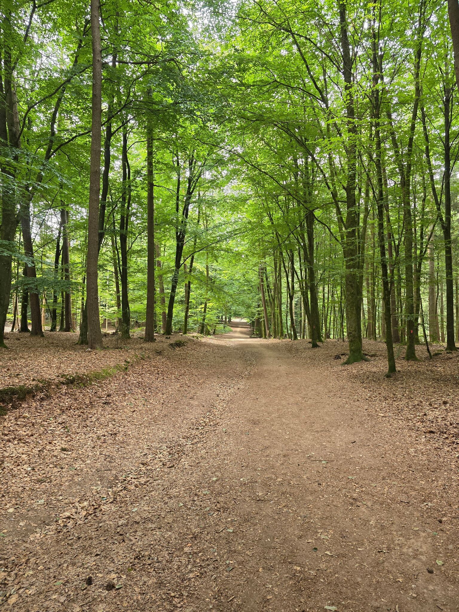 Parc naturel de l'Ardenne méridionale