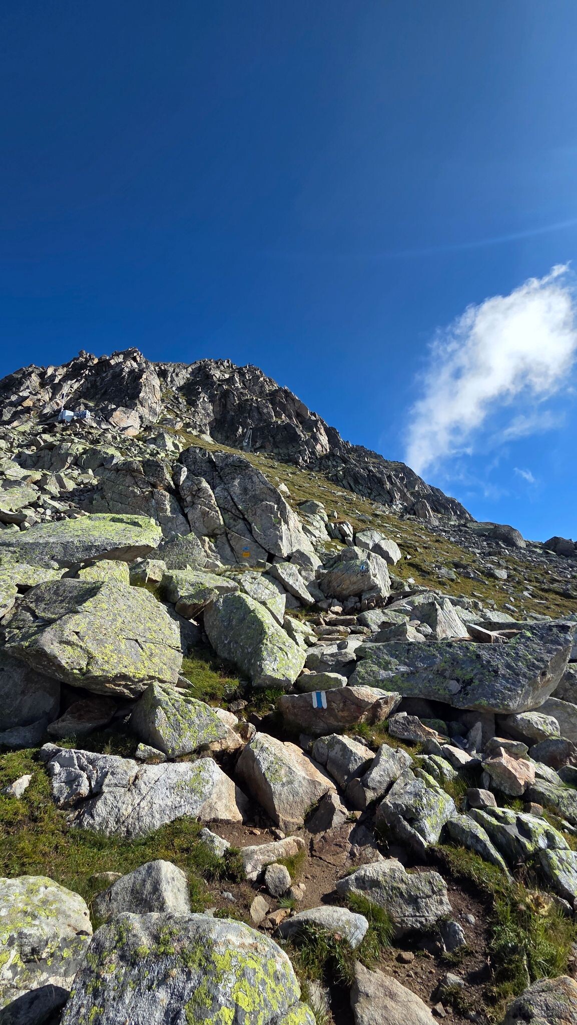 Fiesch