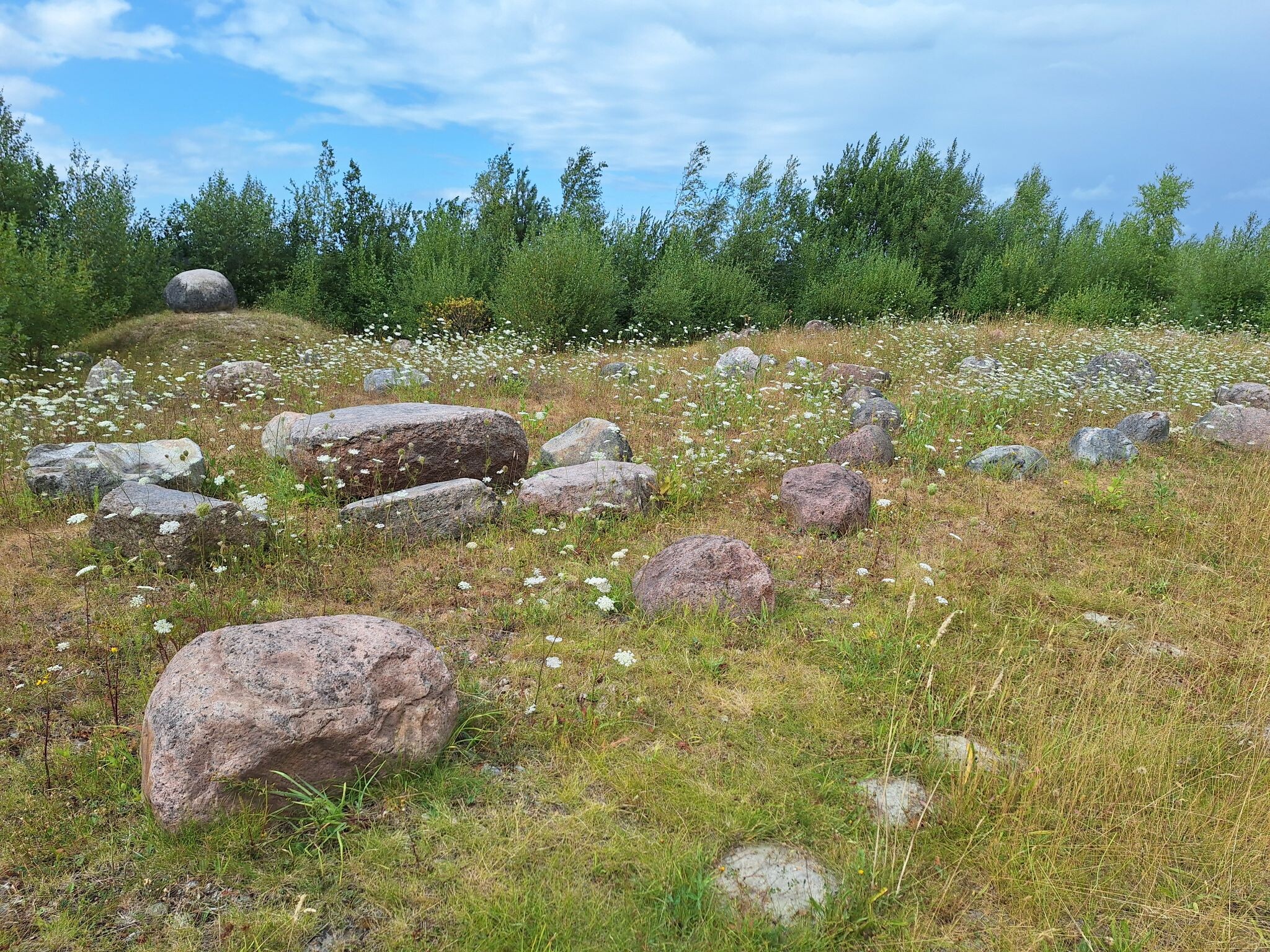 Naturpark Bourtanger Moor - Veenland