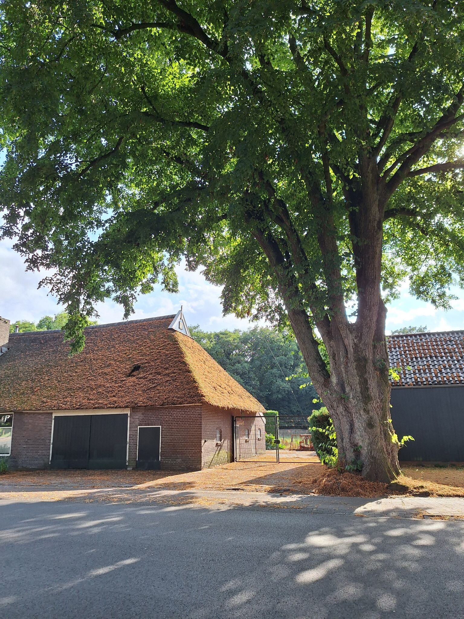 Foto van opname