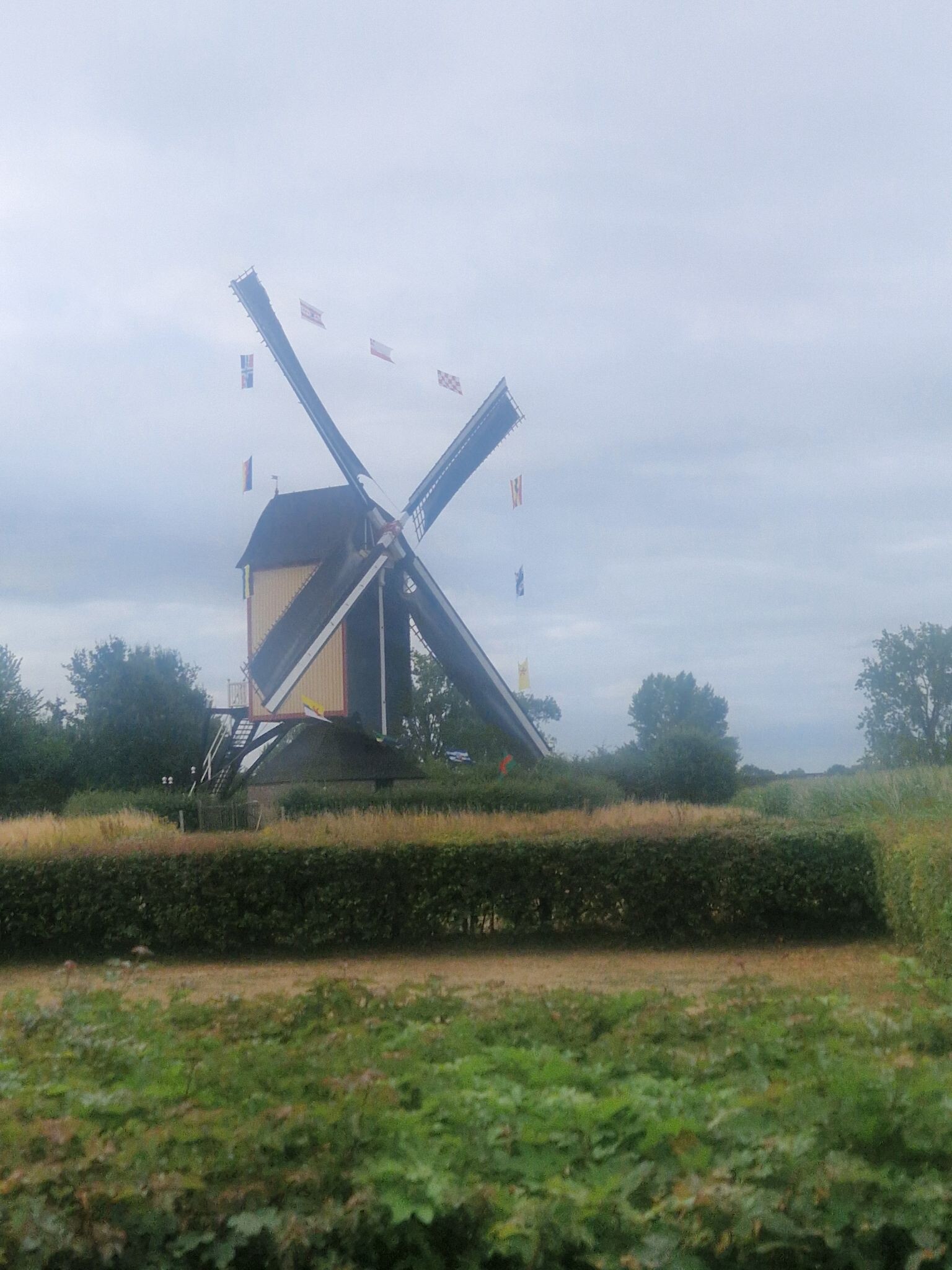 Vierdaagse: De dag van Cuijk