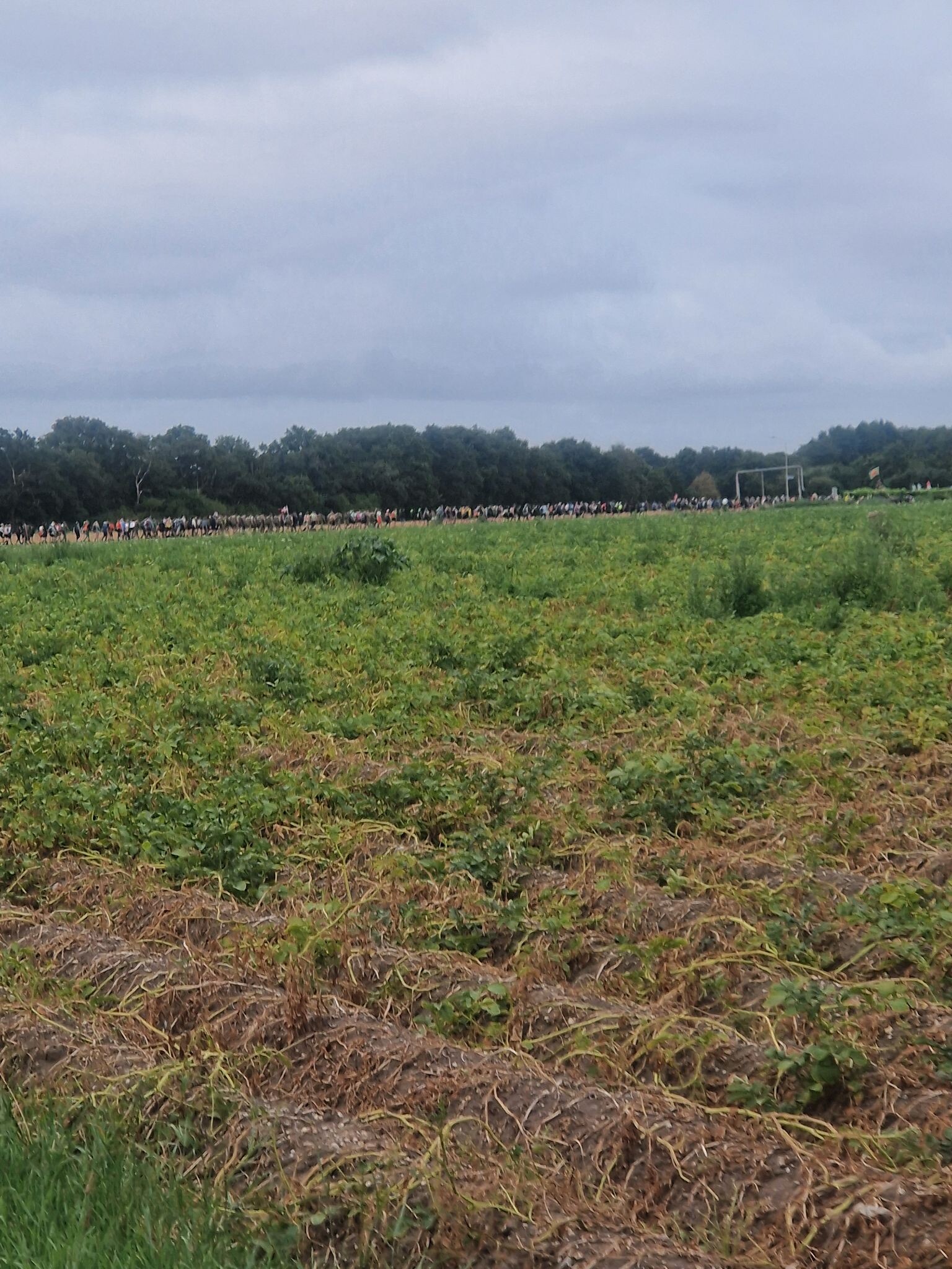 Vierdaagse - Dag van Groesbeek
