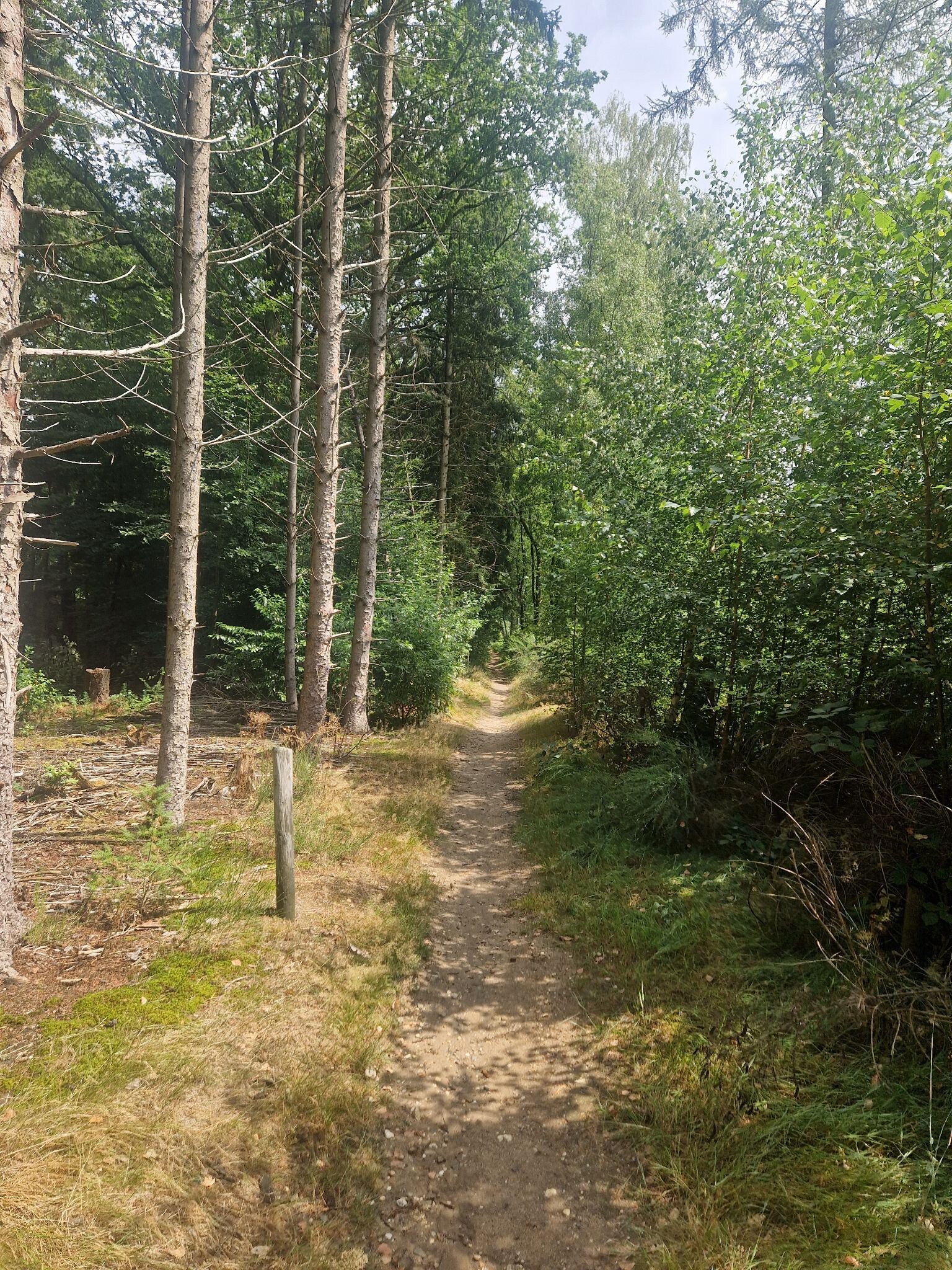 Grafheuvels en leemkuilen op de Herikerberg