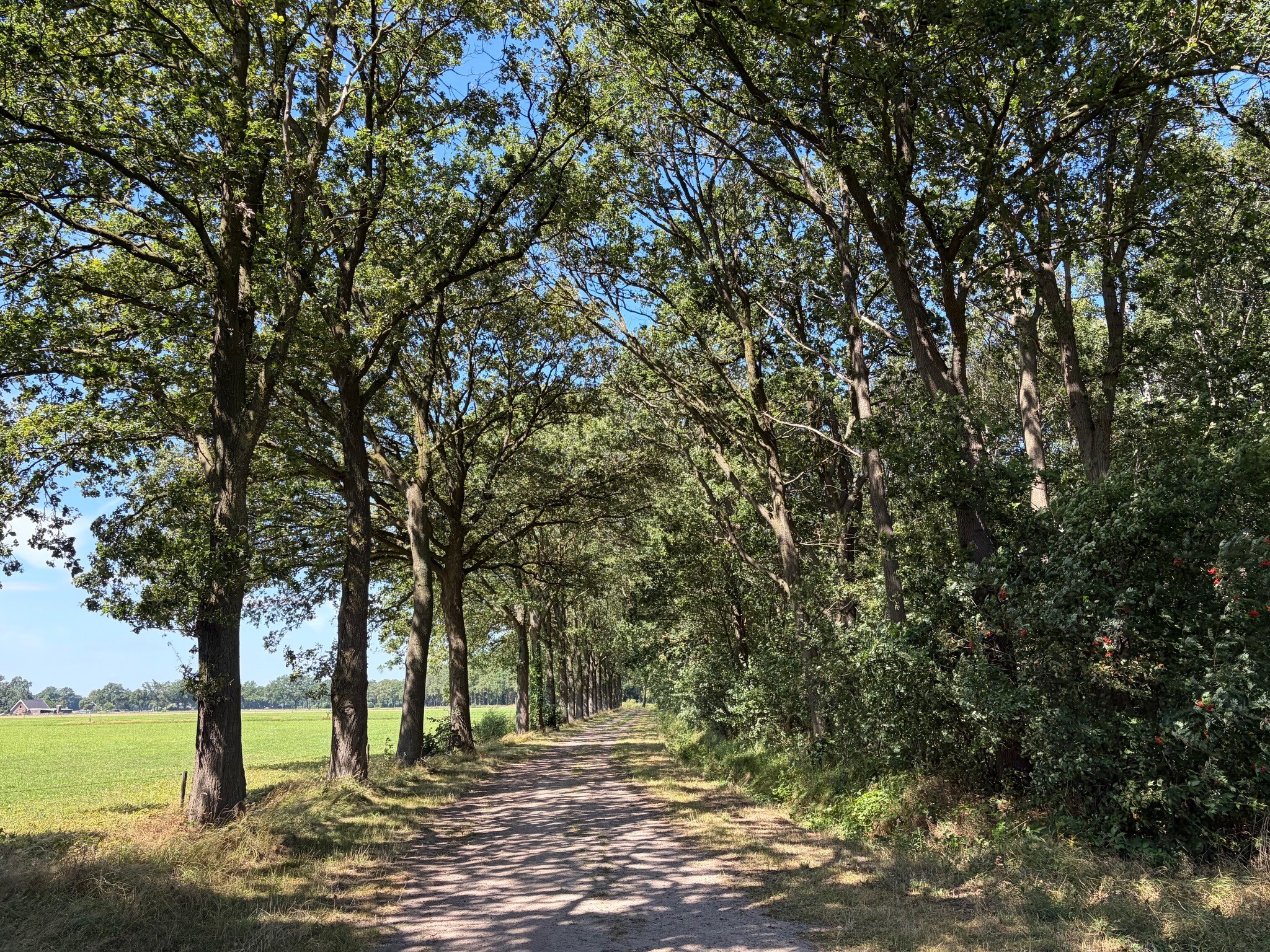 Weerselo