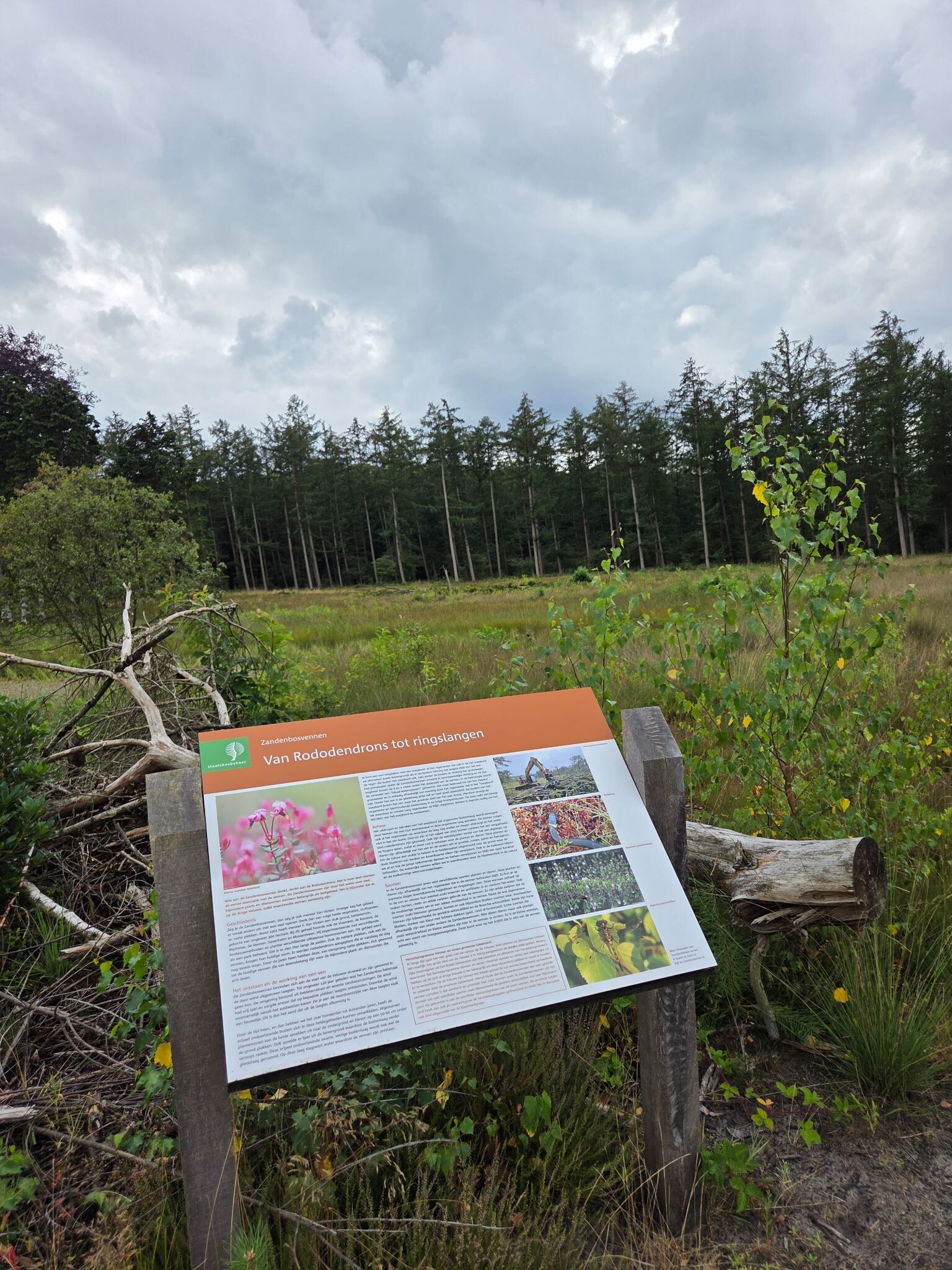 Wandelroute Verscholen dorp 