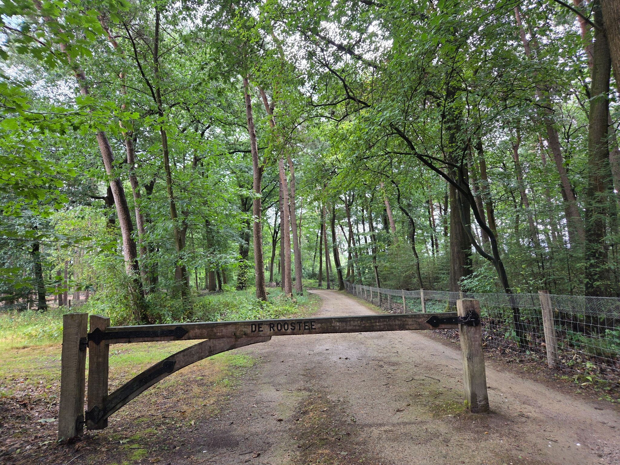 Wandelroute Verscholen dorp 