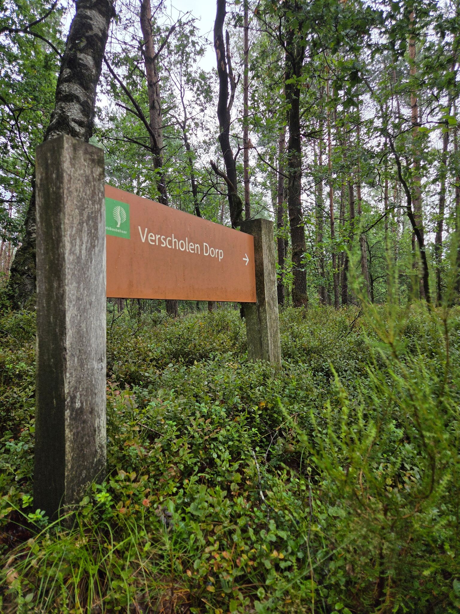 Wandelroute Verscholen dorp 