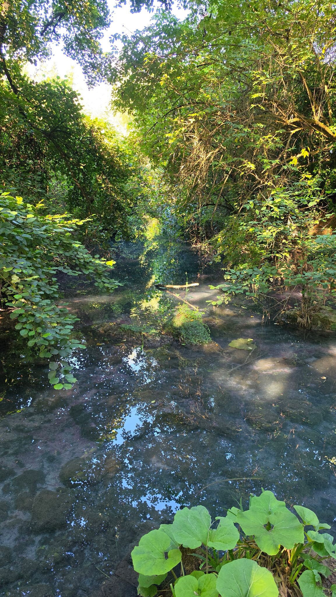 SentierElsa Trail