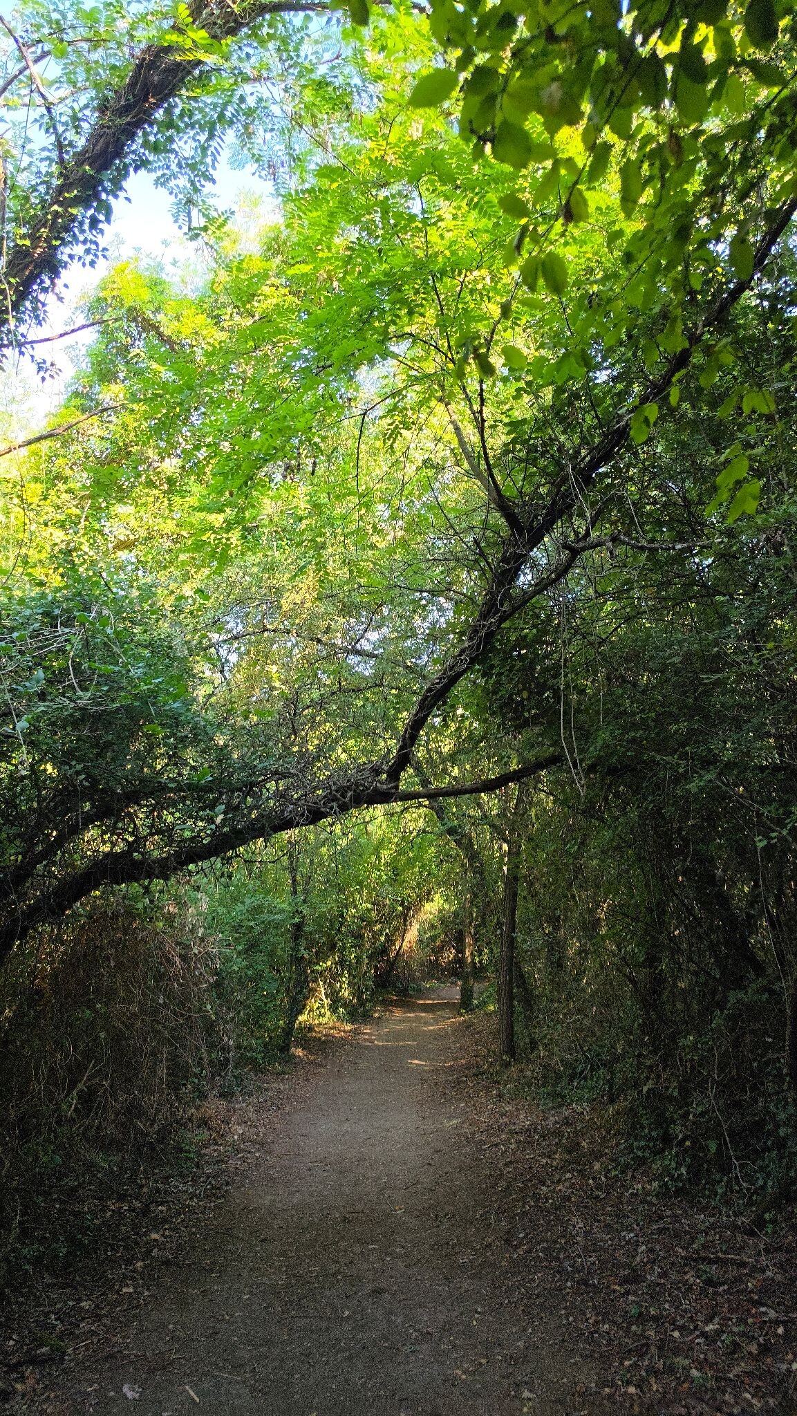 SentierElsa Trail