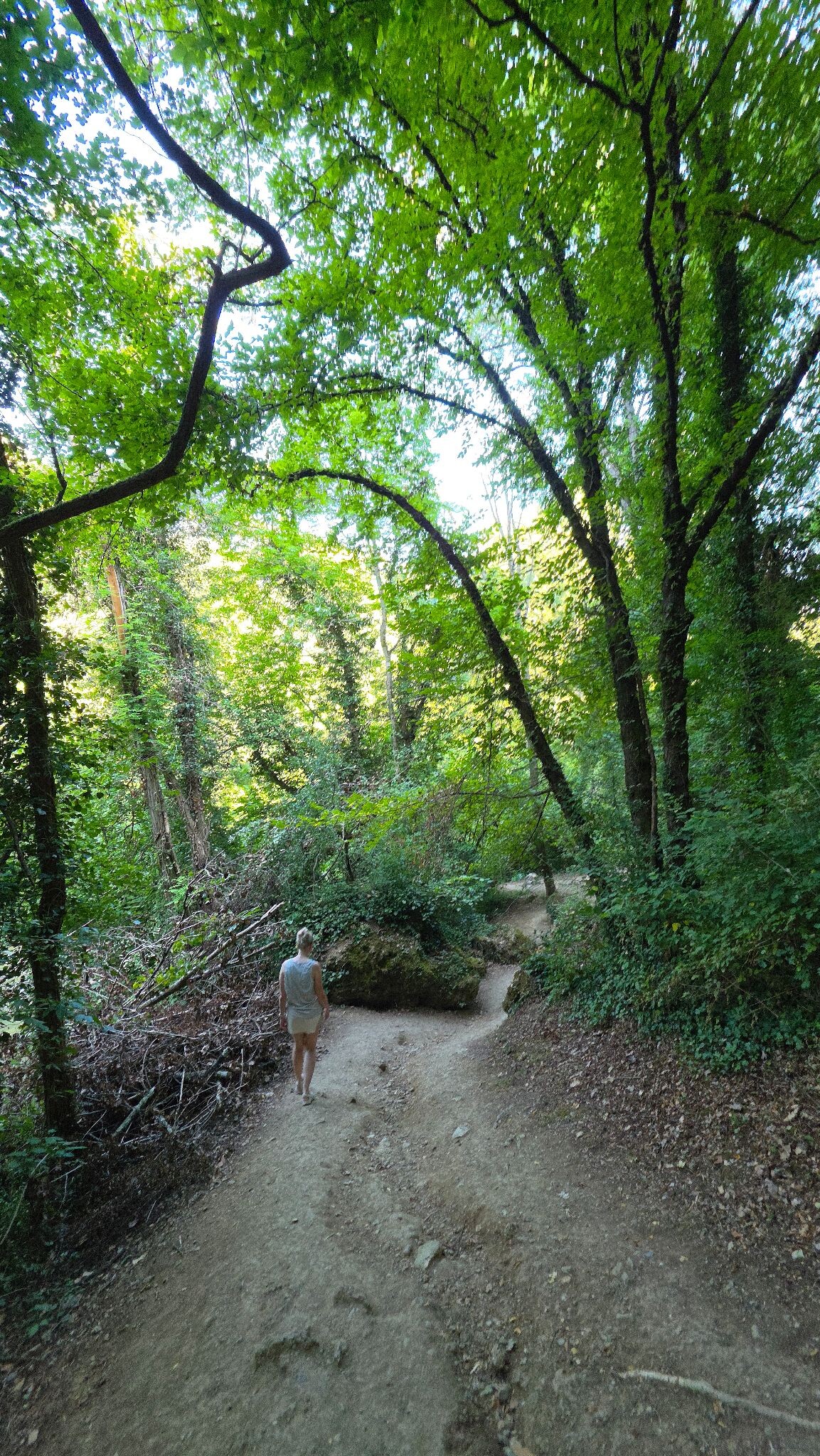 SentierElsa Trail
