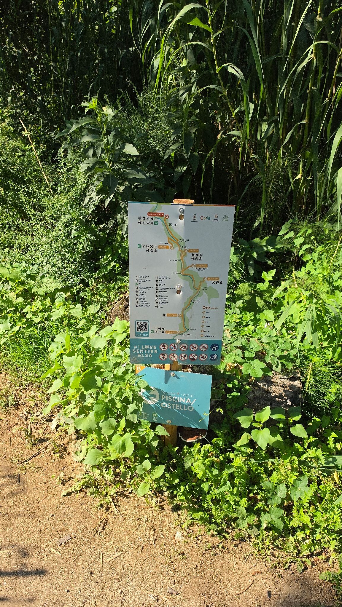 SentierElsa Trail