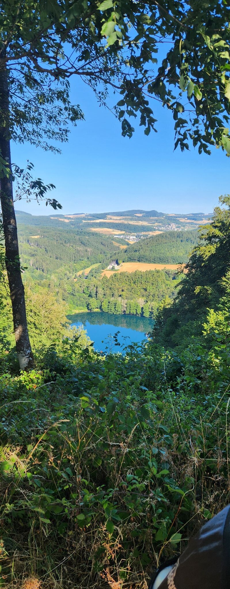 Daun - Manderscheid · Eifelsteig etappe 11