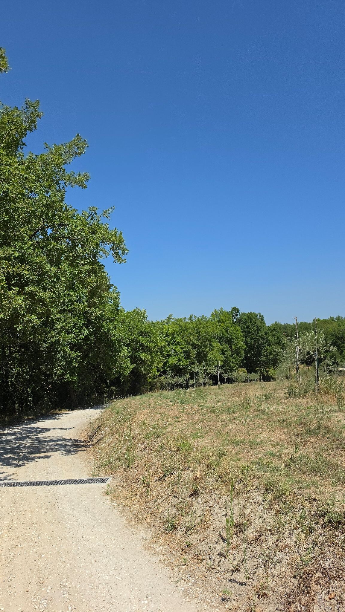 Agriturismo Le Ville - Hiking track