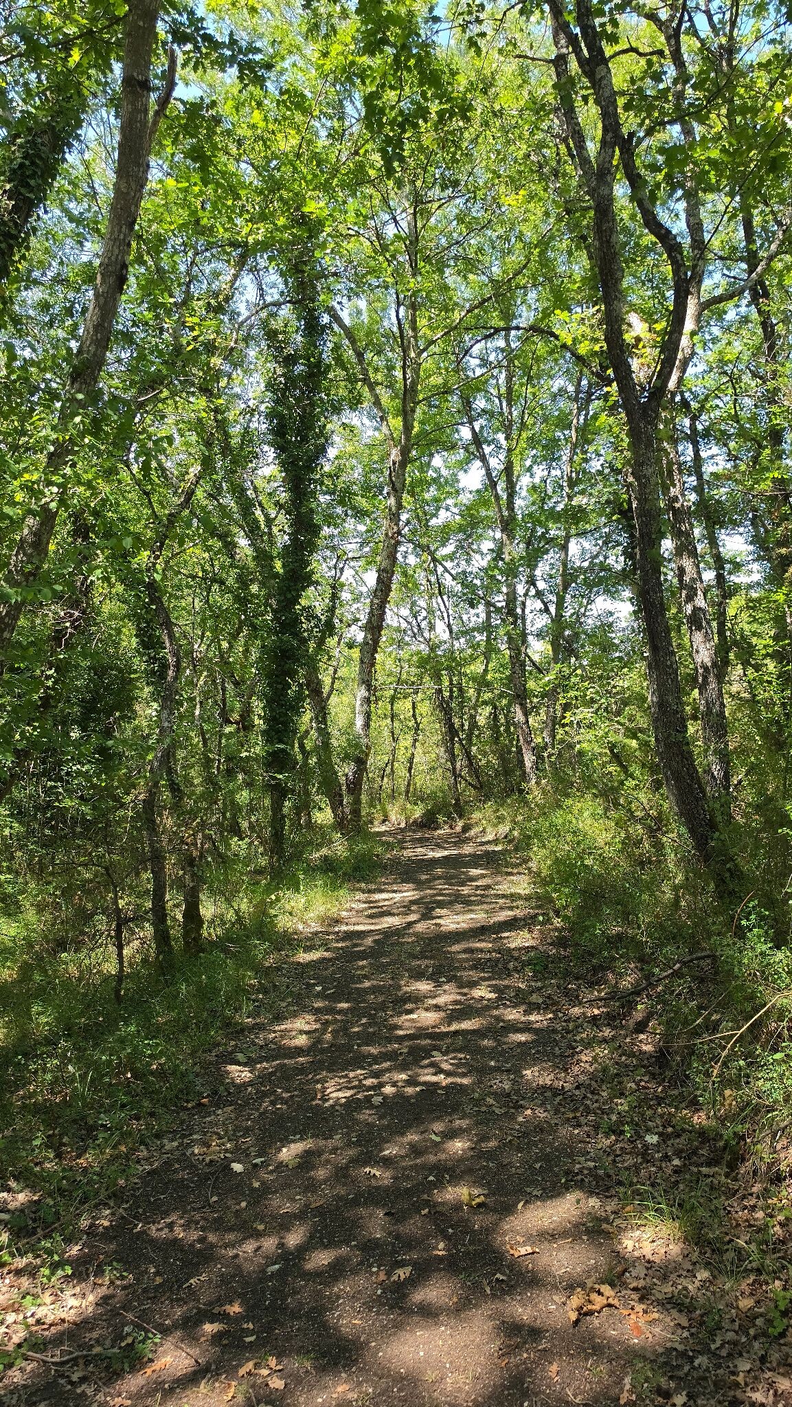 Agriturismo Le Ville - Hiking track