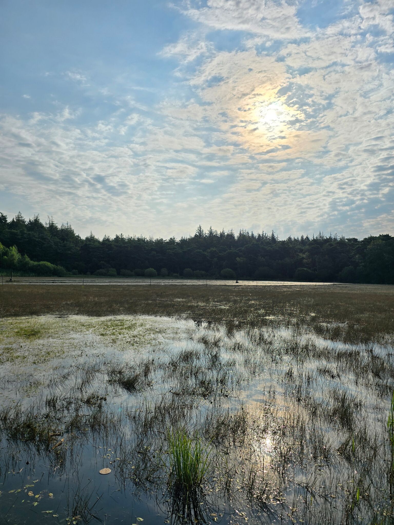 Beleefroute: in adellijke voetsporen