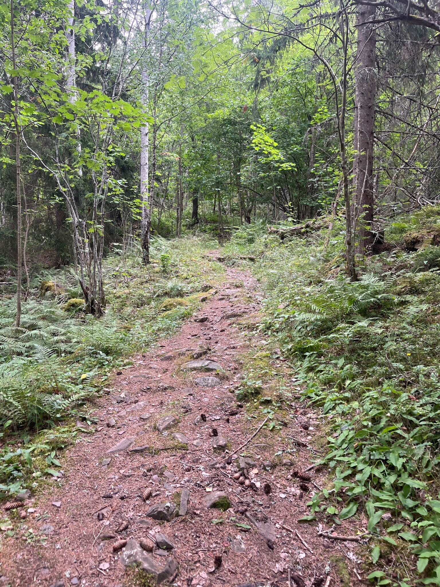 Sundvollen omhoog